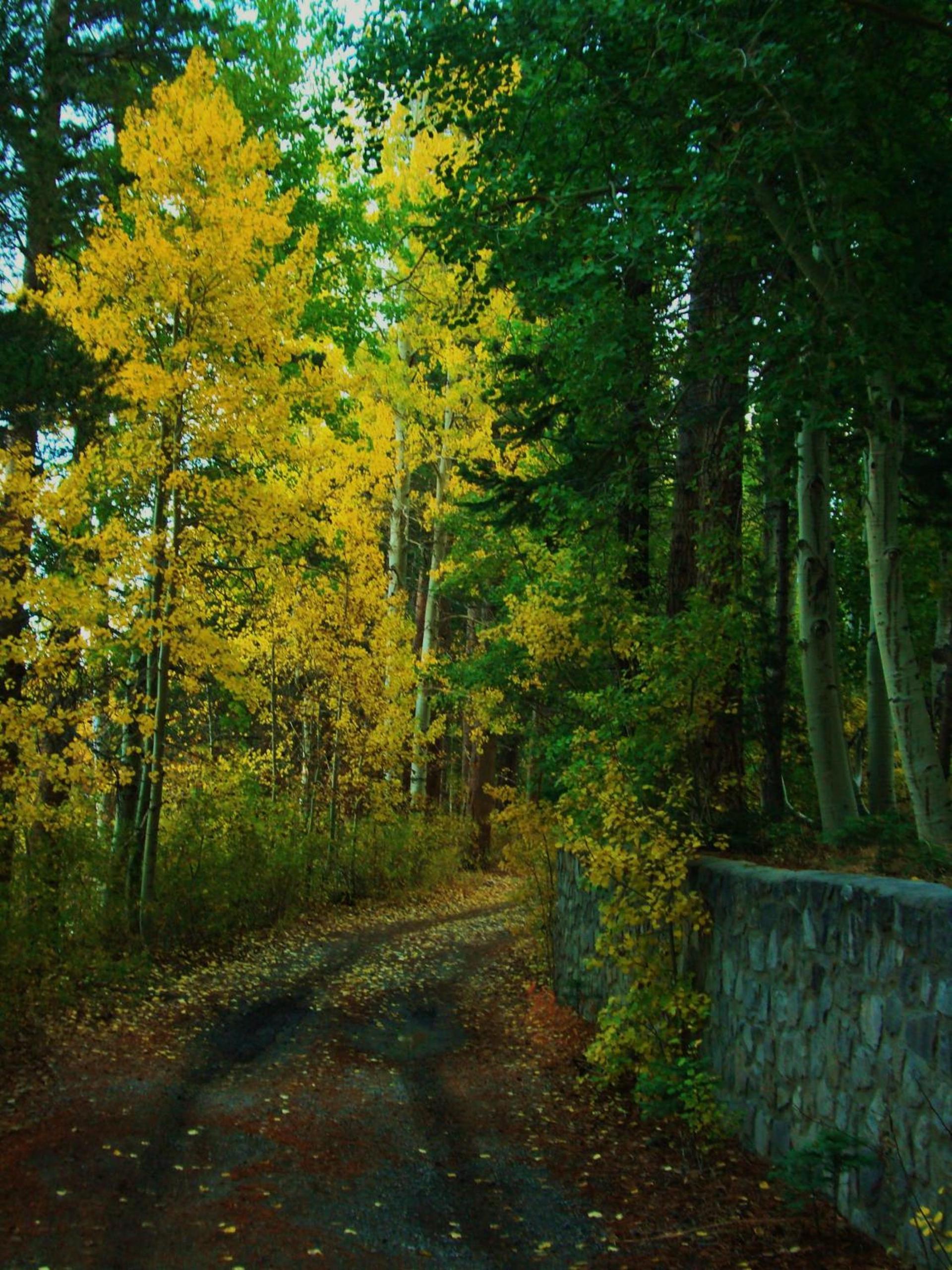 Lake Front Cabins photo 21