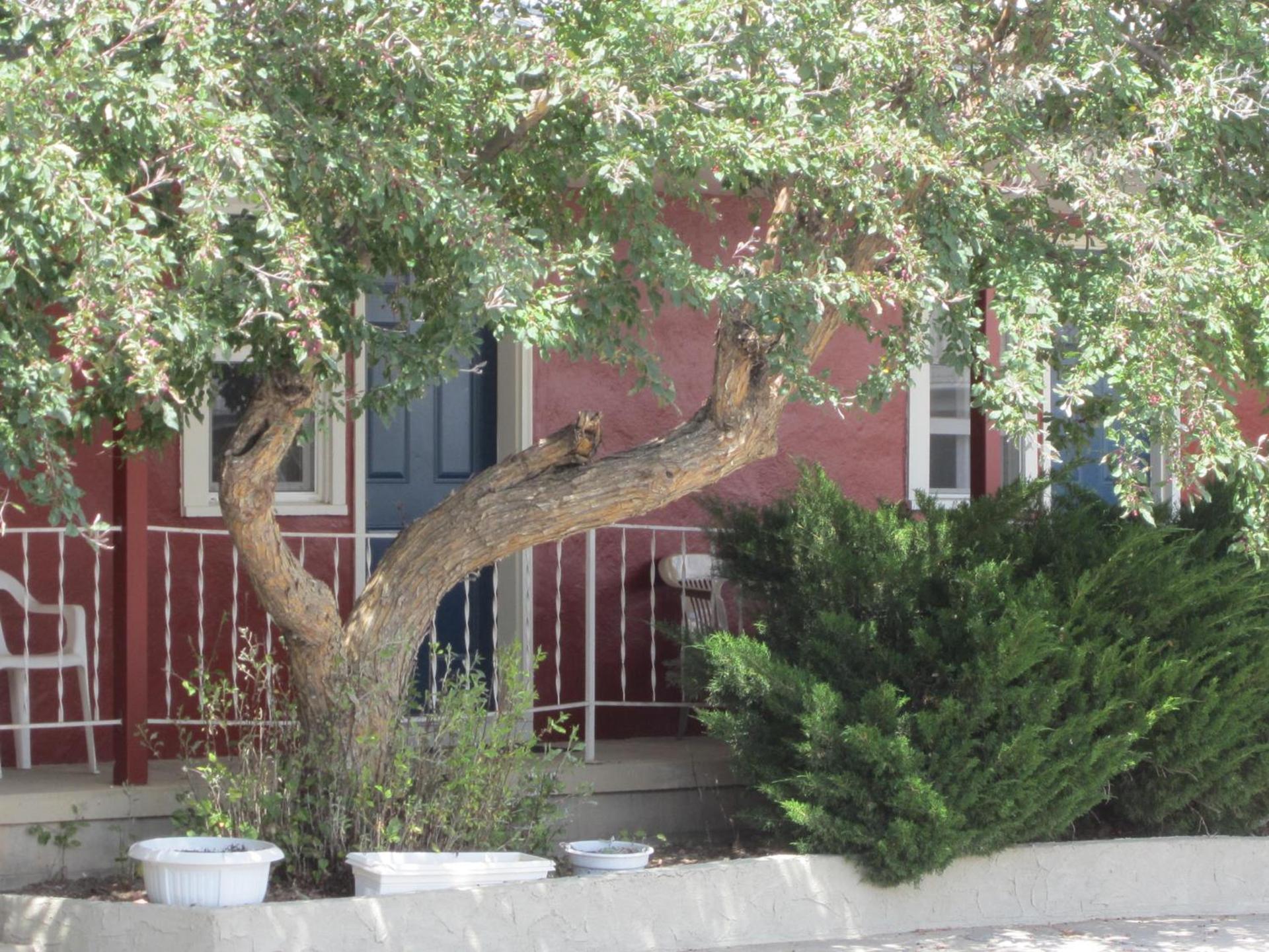 Big Horn Motel photo 43