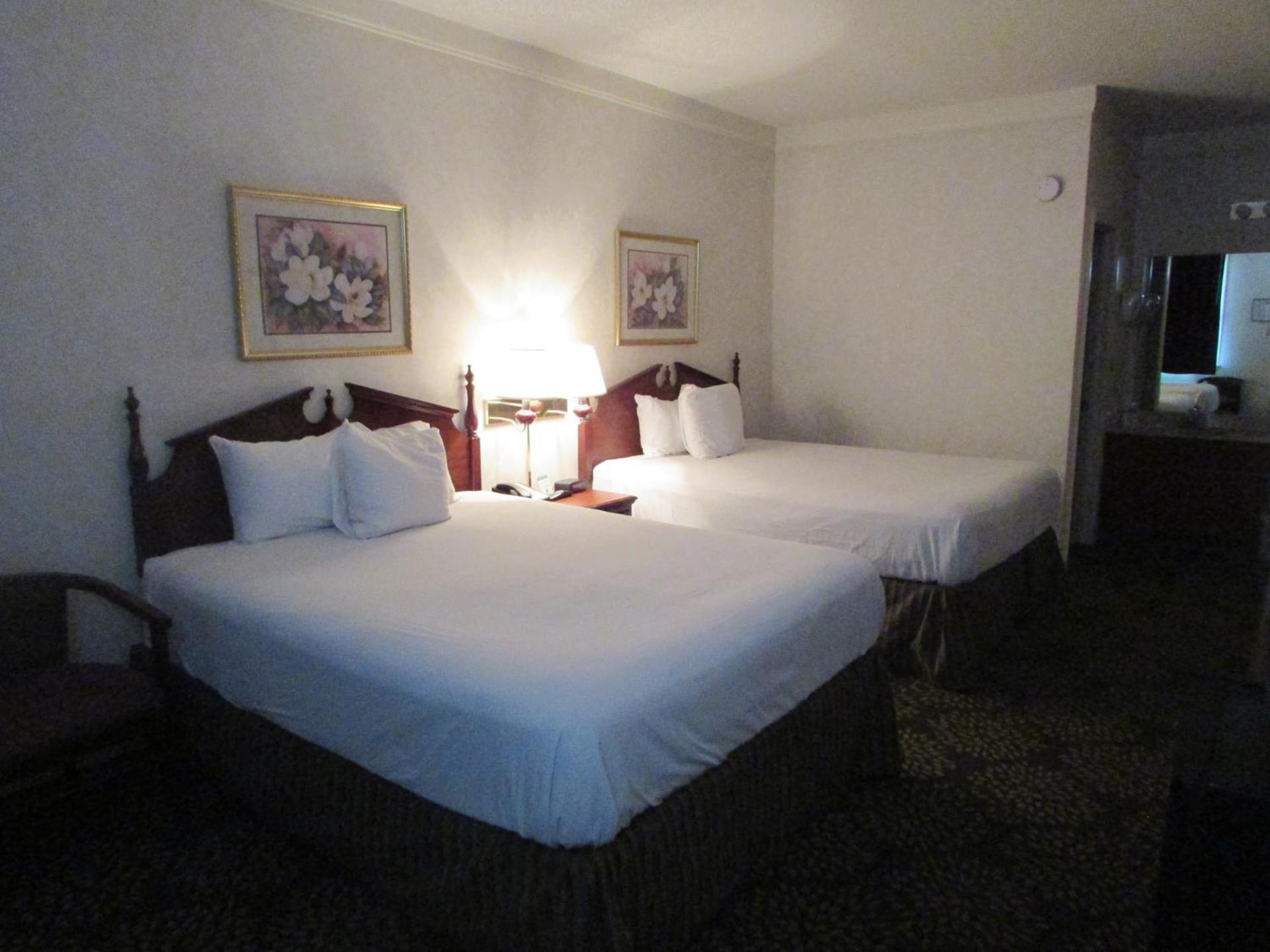 Plantation Oaks Suites & Inn Millington photo 28