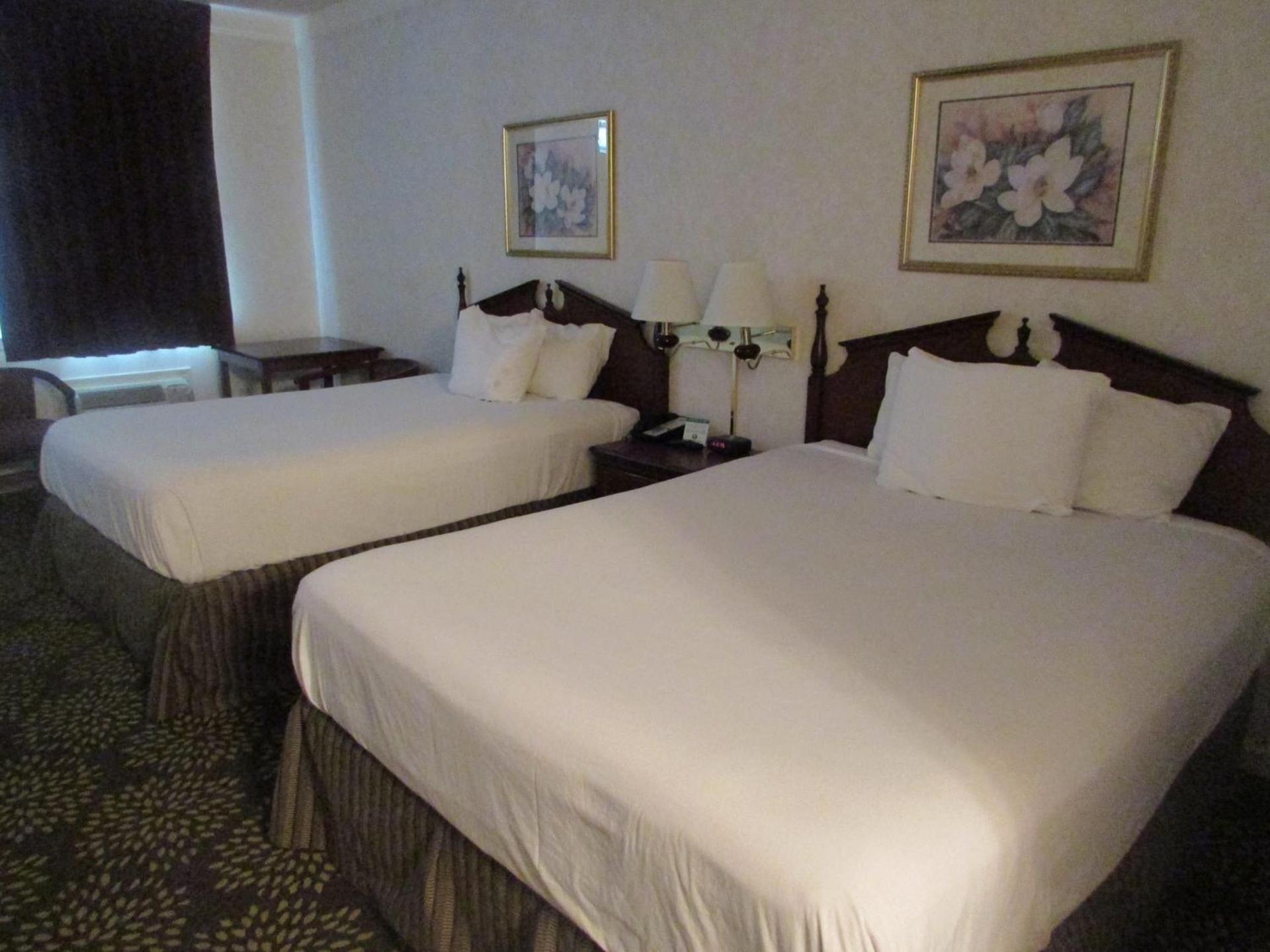 Plantation Oaks Suites & Inn Millington photo 29