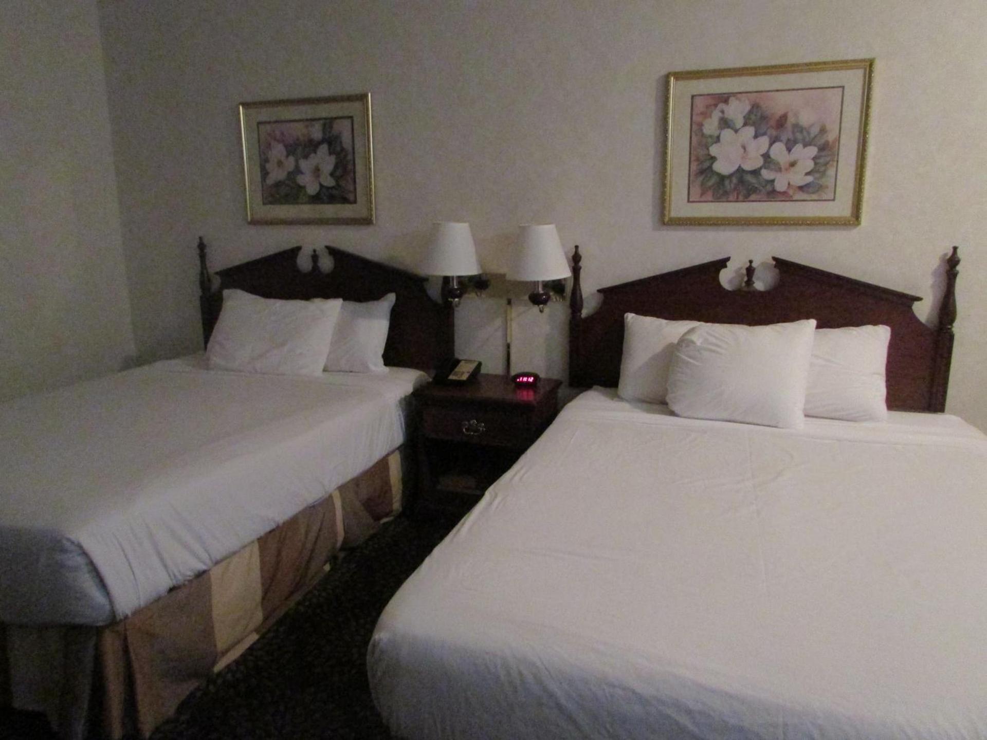 Plantation Oaks Suites & Inn Millington photo 31