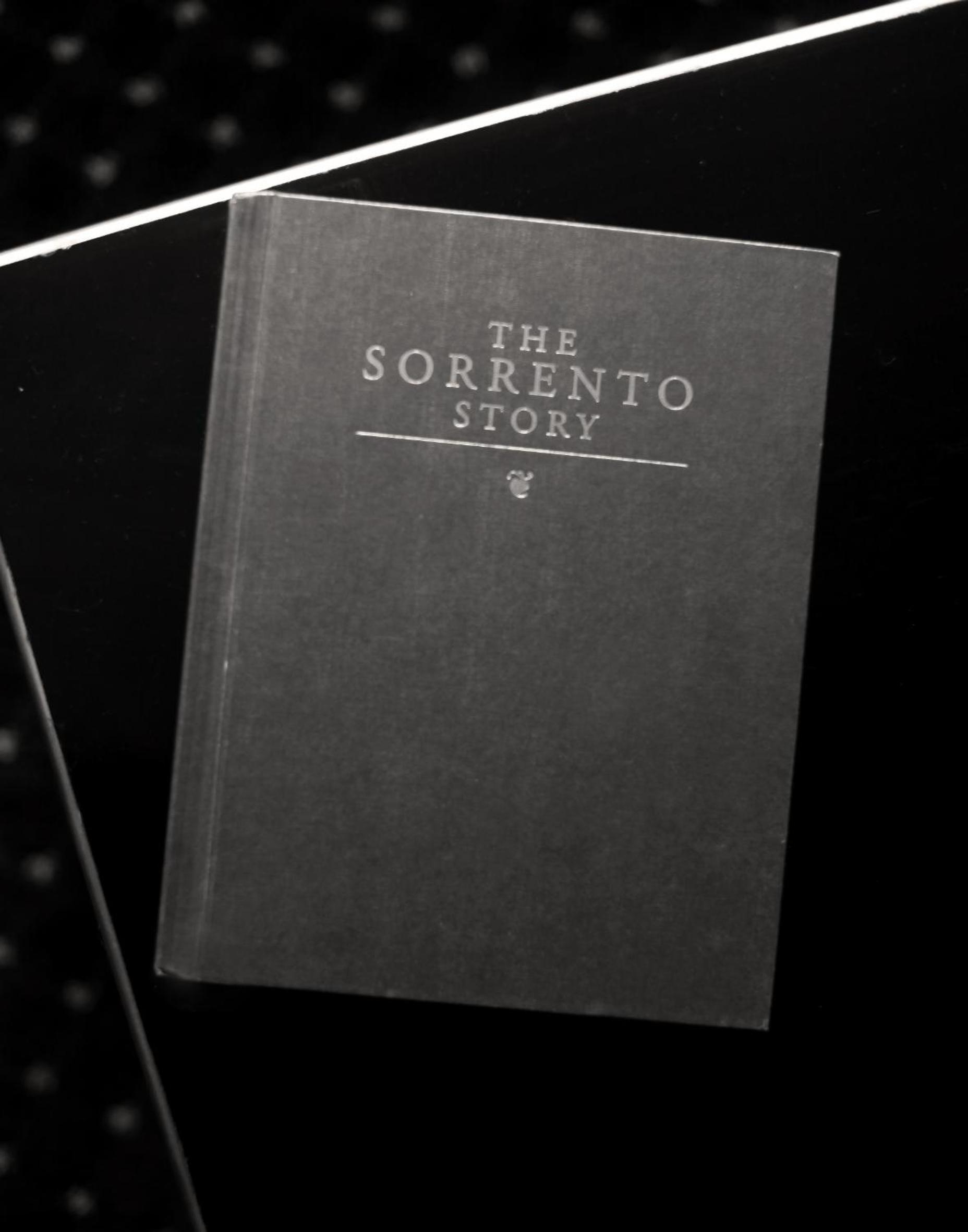 Hotel Sorrento photo 34