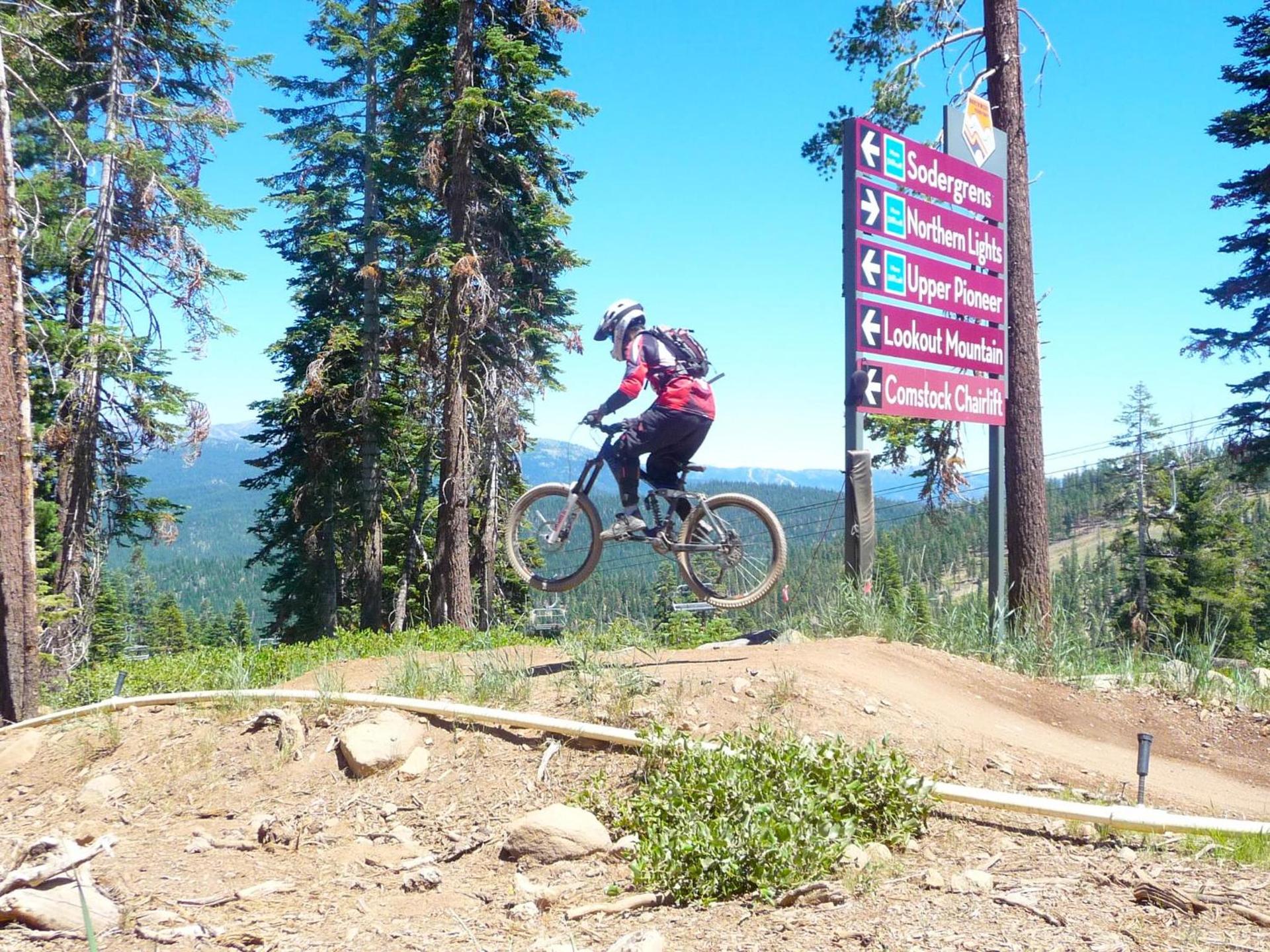 Firelite Lodge photo 25