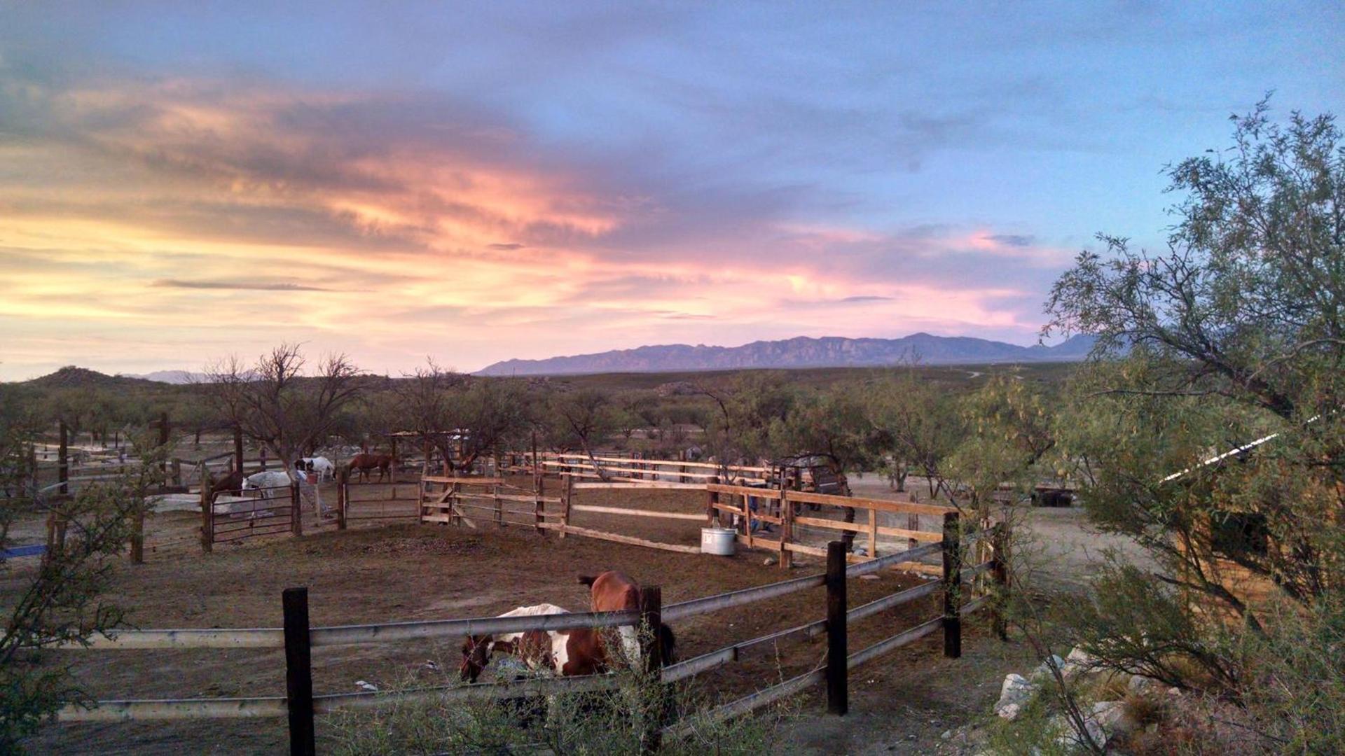 Tombstone Monument Guest Ranch photo 19