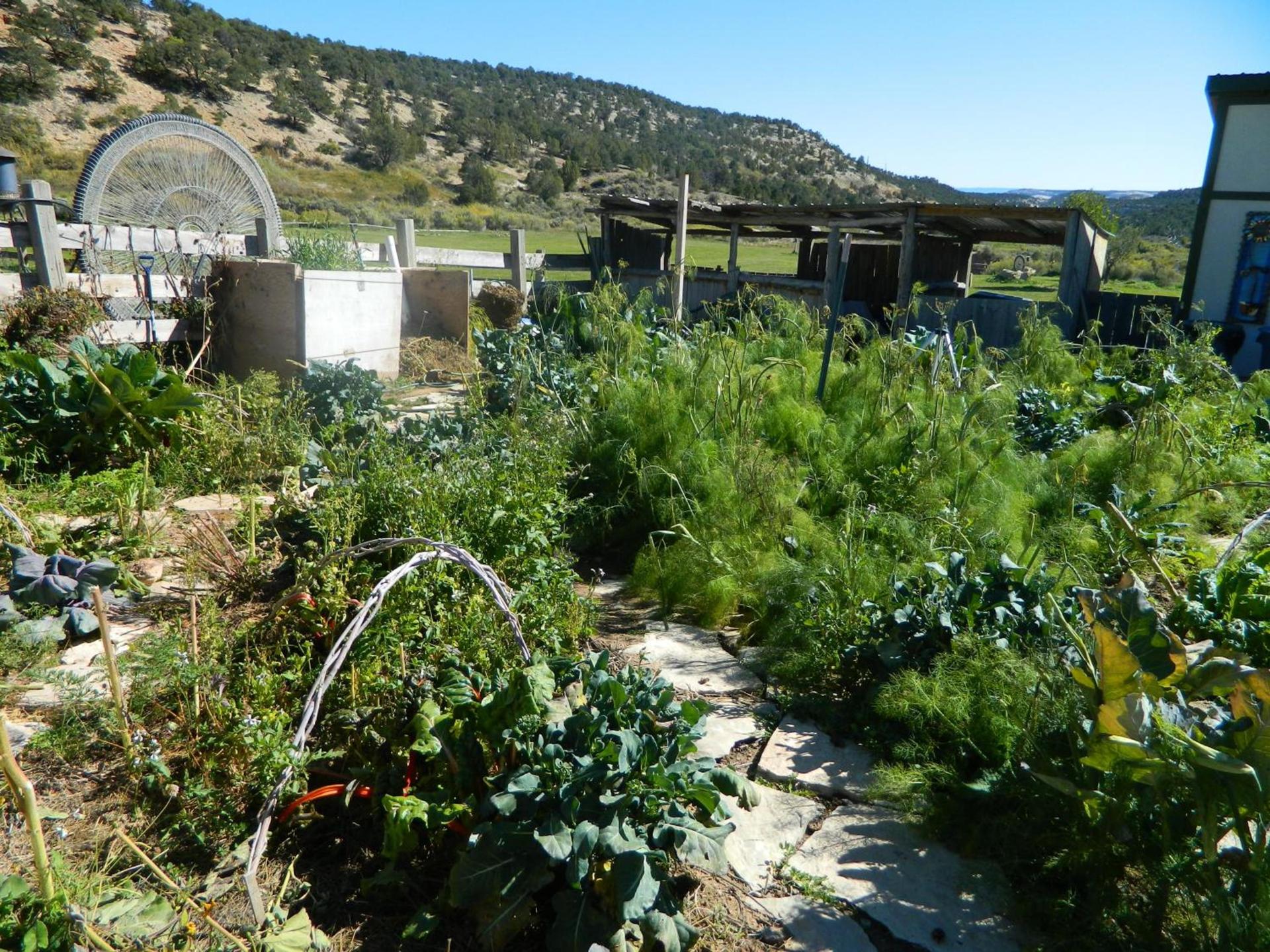 Boulder Mountain Guest Ranch photo 69