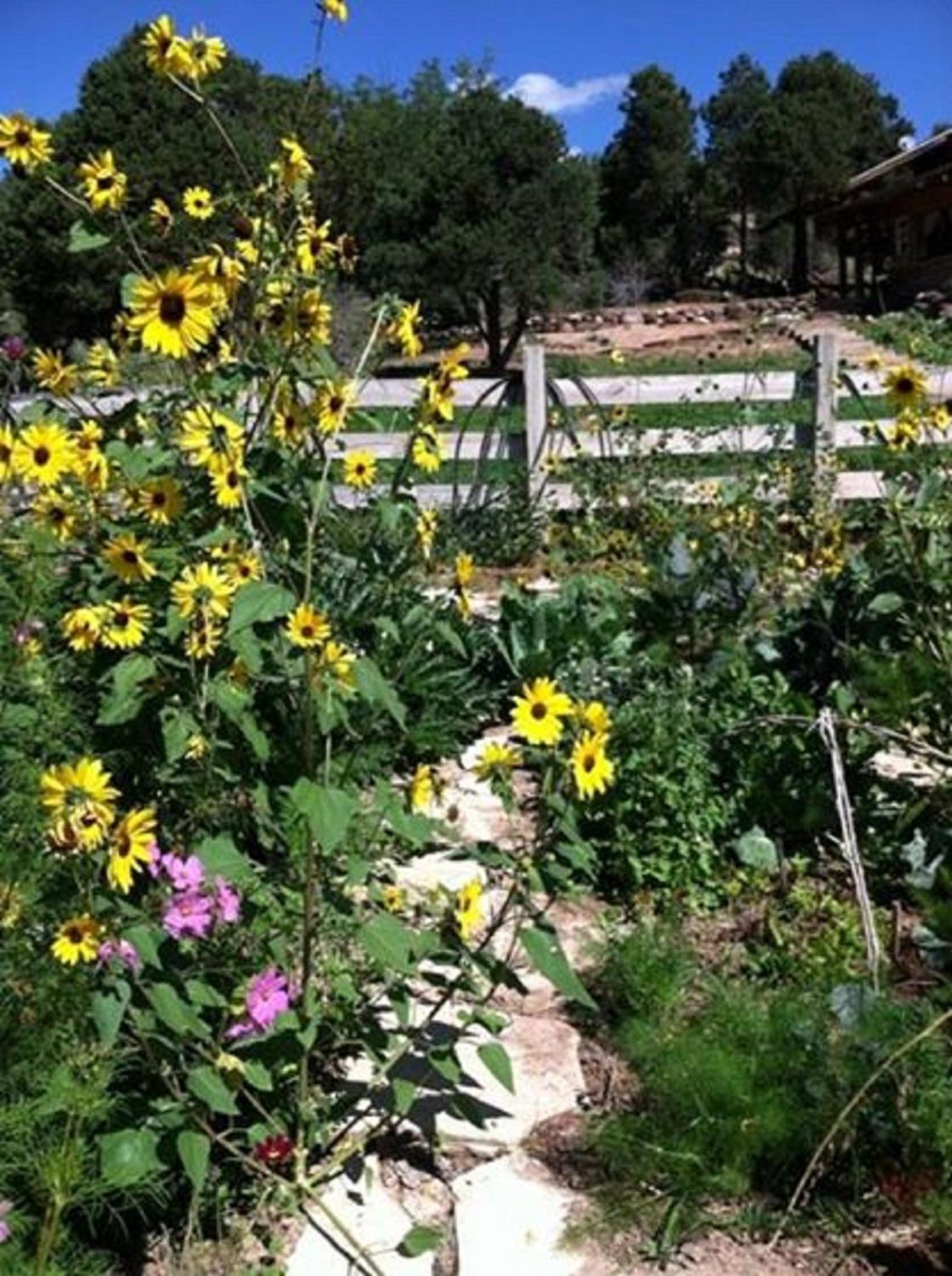 Boulder Mountain Guest Ranch photo 68