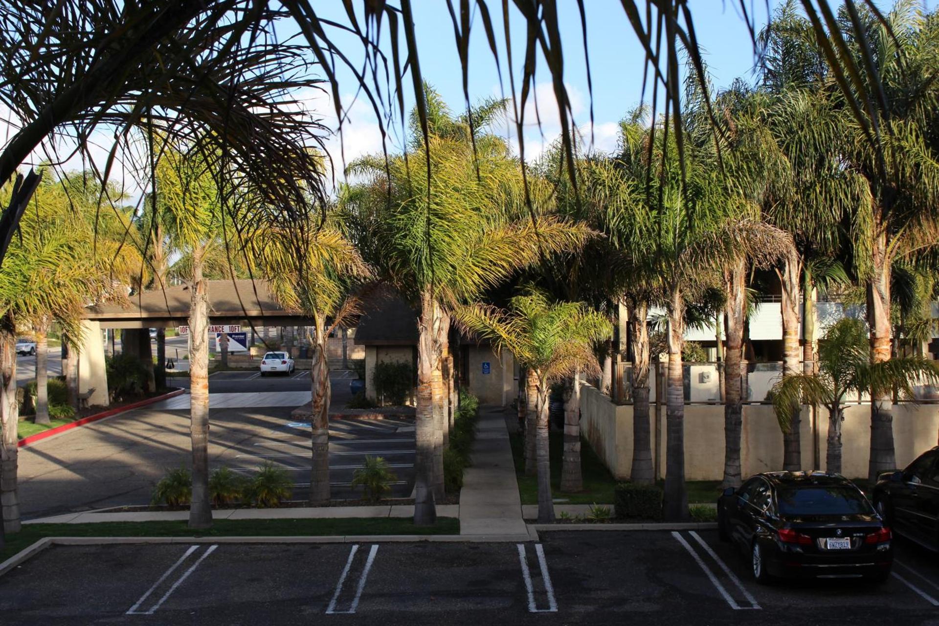 O'Cairns Inn and Suites photo 39