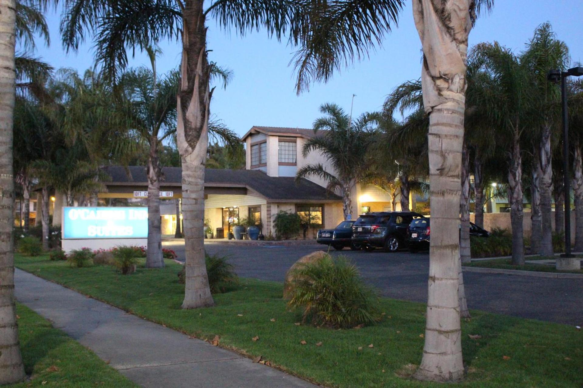 O'Cairns Inn and Suites photo 35