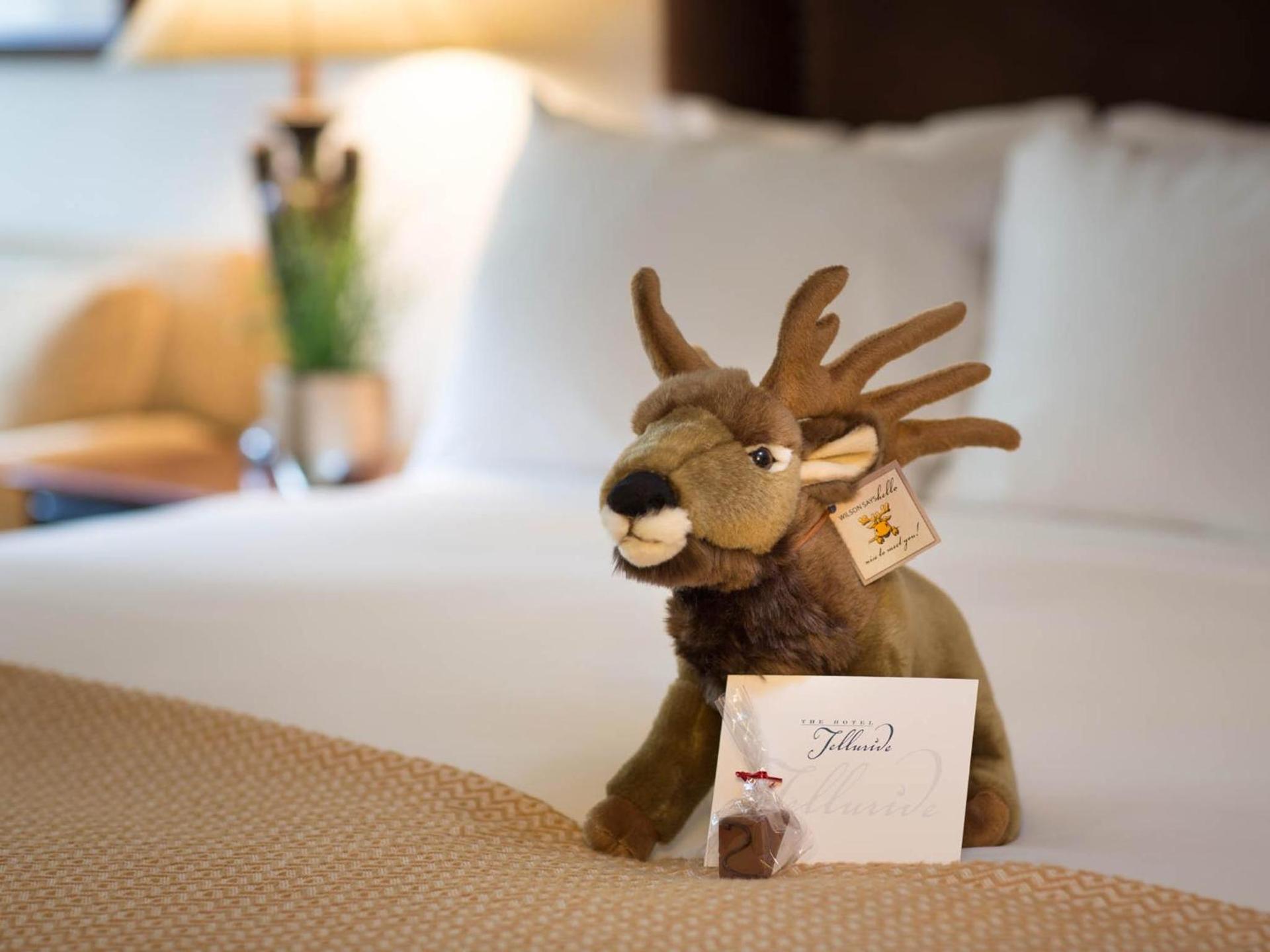 The Hotel Telluride photo 4