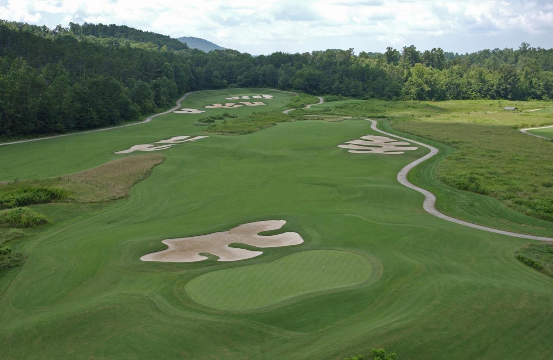 Brasstown Valley Resort & Spa photo 37