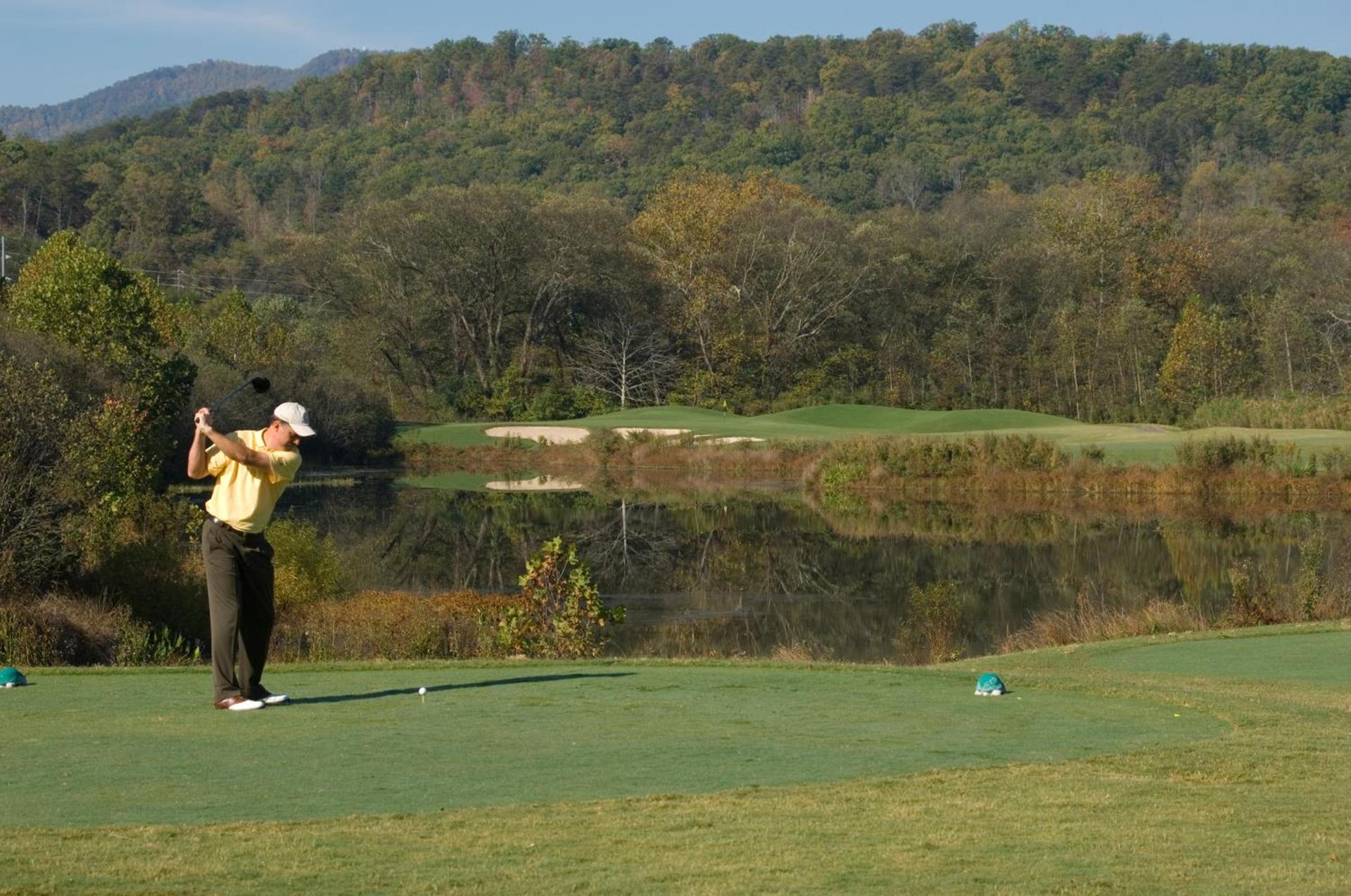 Brasstown Valley Resort & Spa photo 44