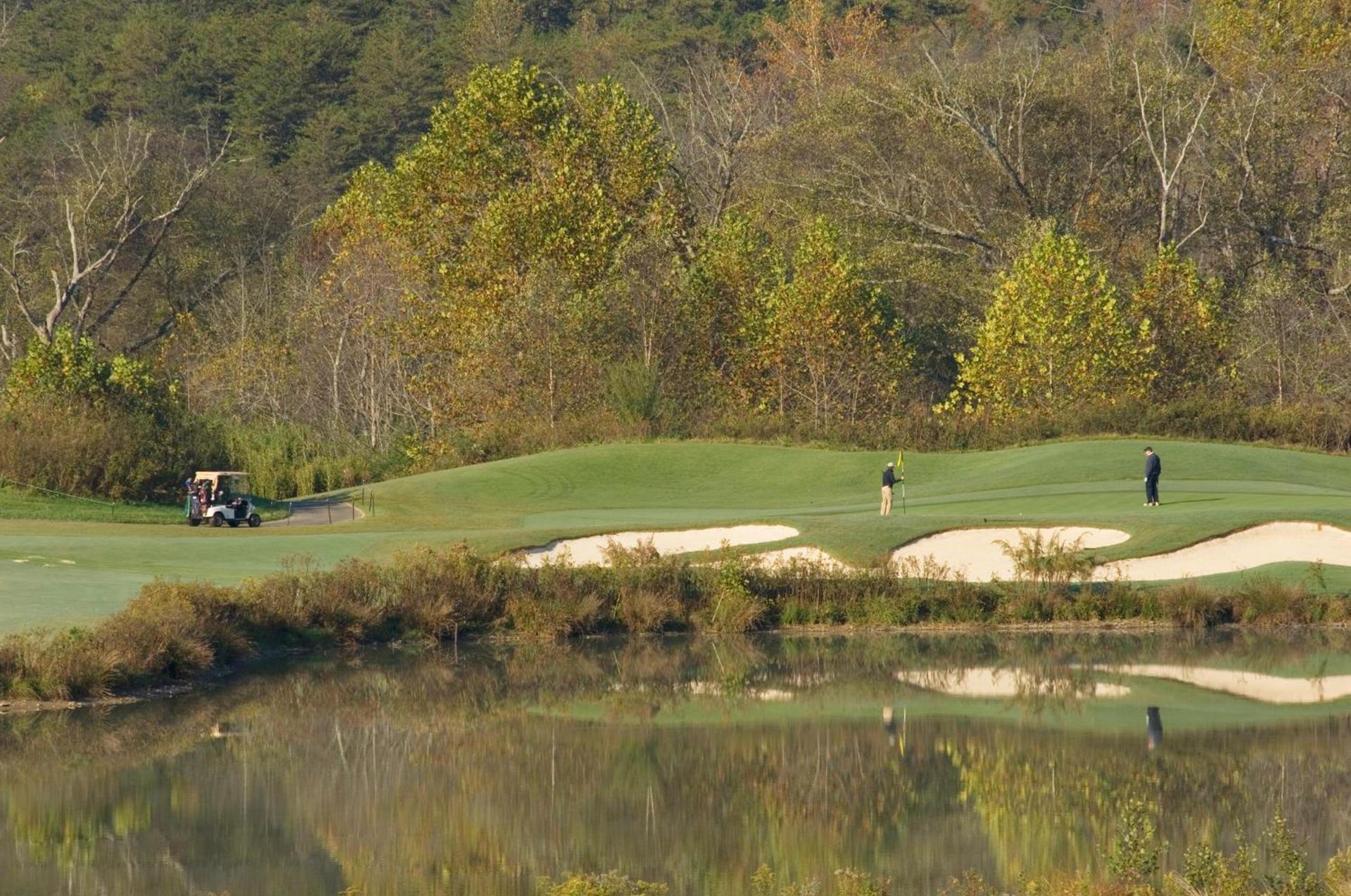 Brasstown Valley Resort & Spa photo 45