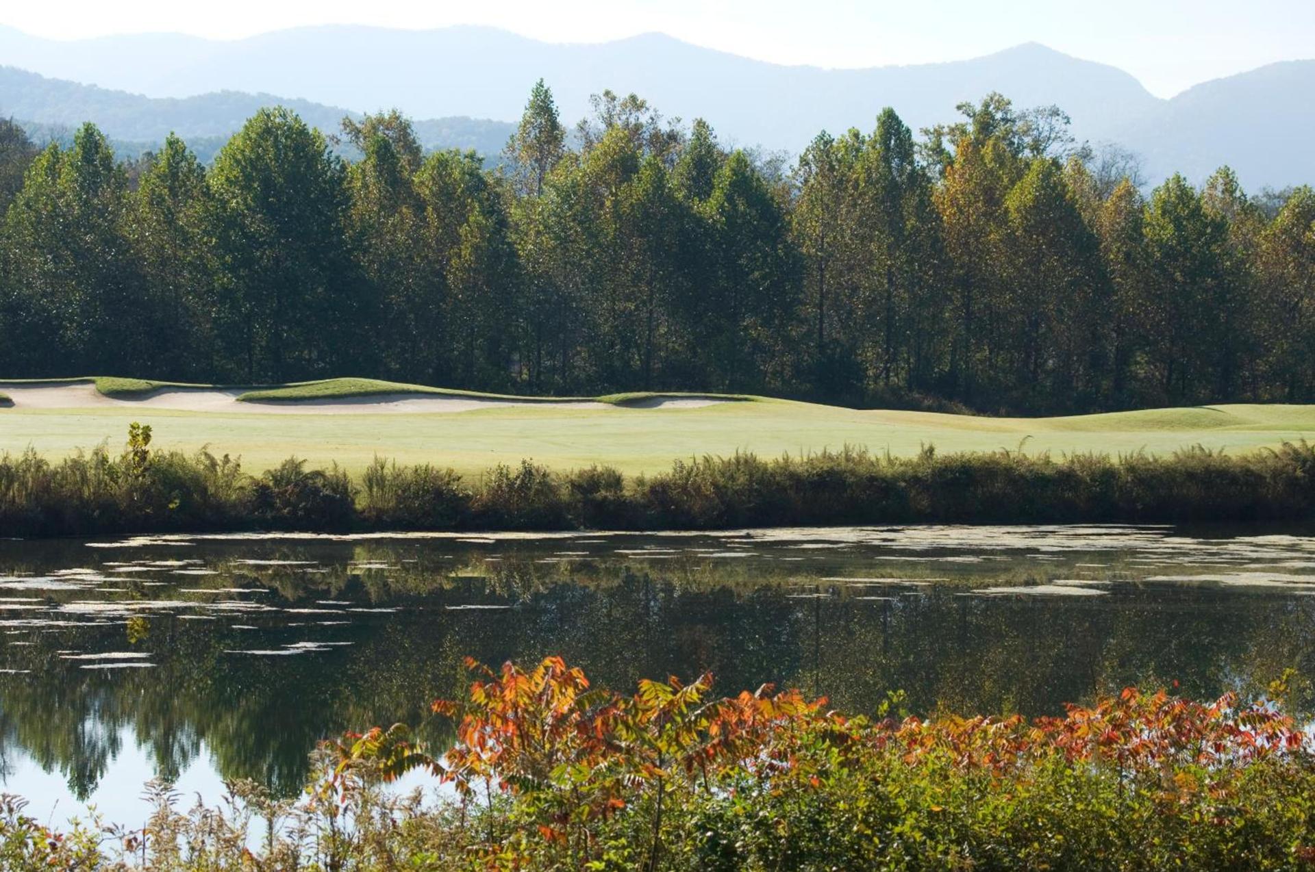 Brasstown Valley Resort & Spa photo 48