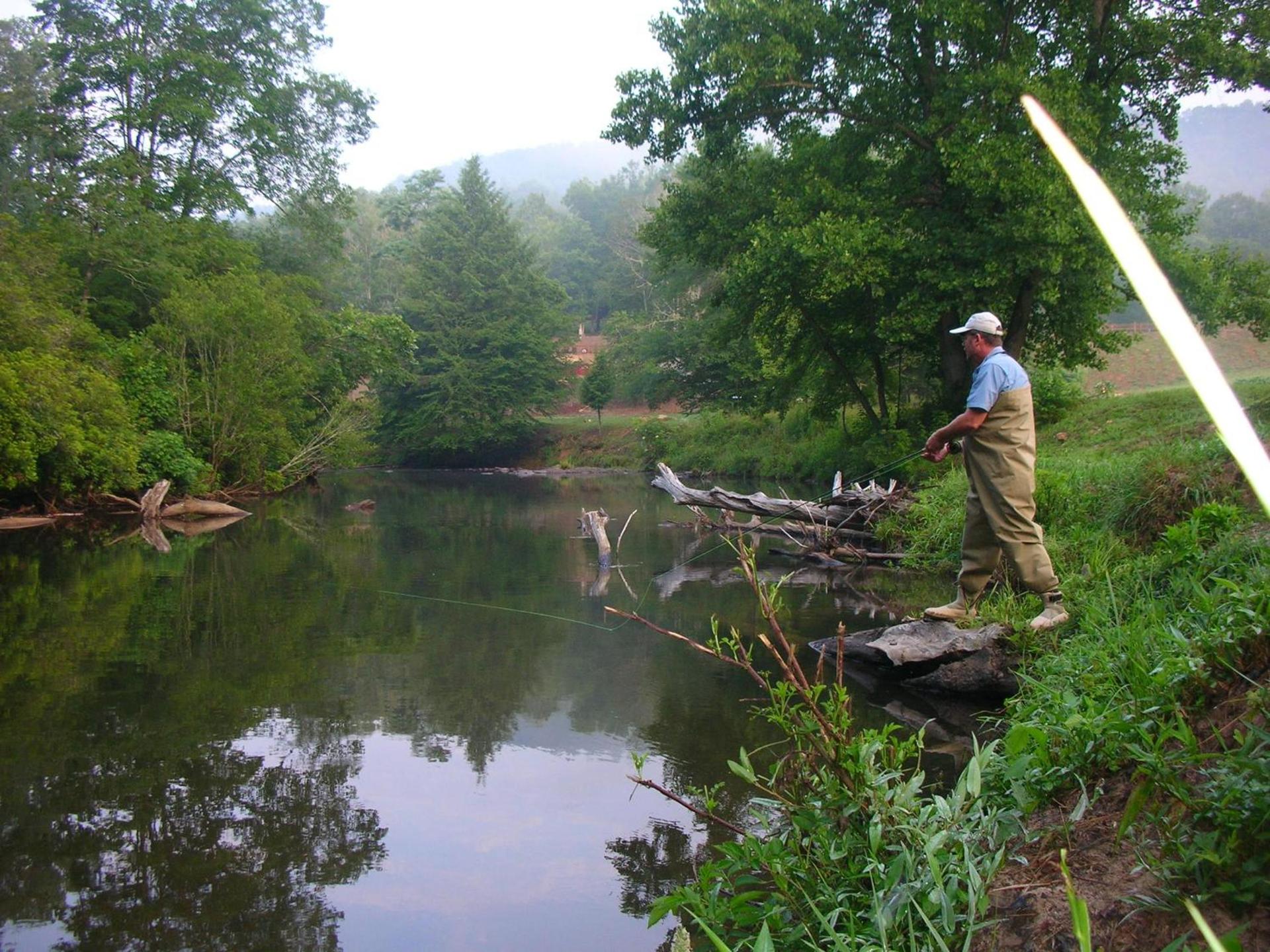 Brasstown Valley Resort & Spa photo 49