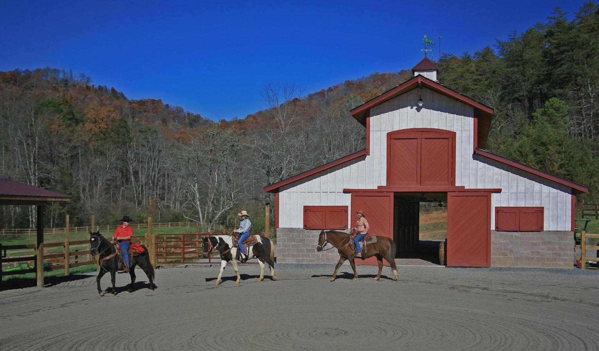 Brasstown Valley Resort & Spa photo 51