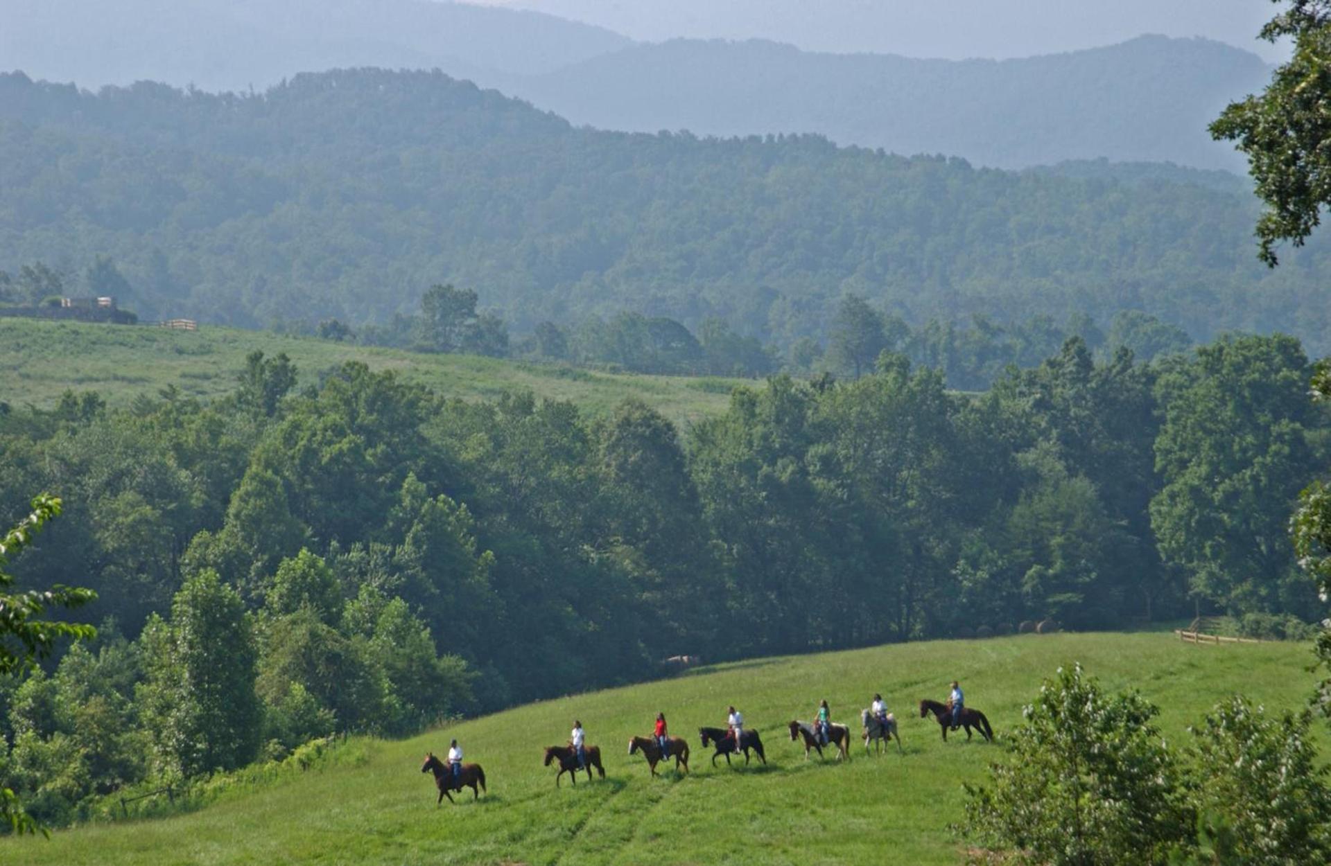 Brasstown Valley Resort & Spa photo 53