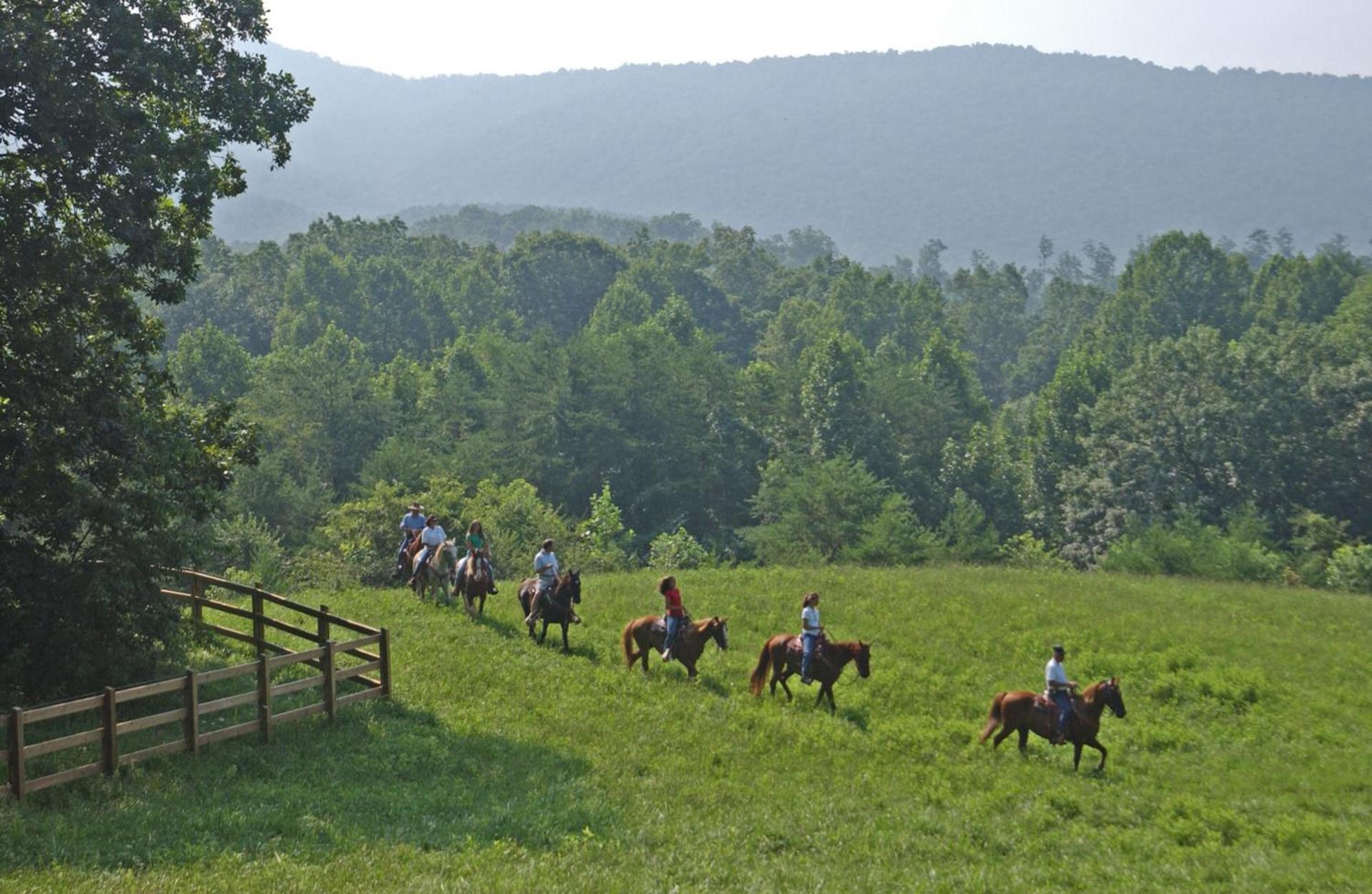 Brasstown Valley Resort & Spa photo 54