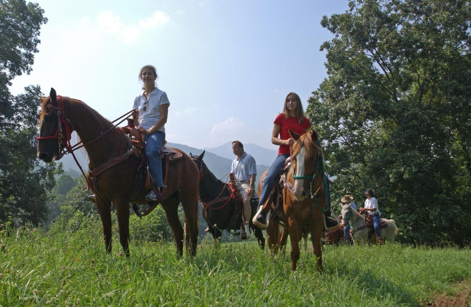 Brasstown Valley Resort & Spa photo 55