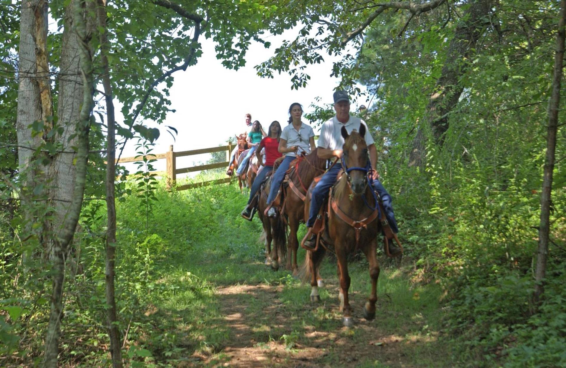 Brasstown Valley Resort & Spa photo 56
