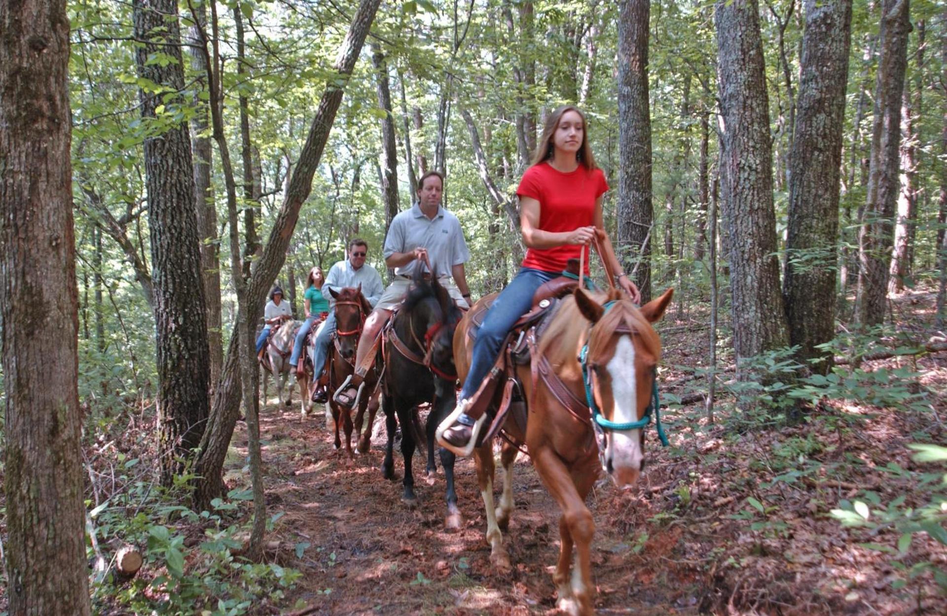 Brasstown Valley Resort & Spa photo 57
