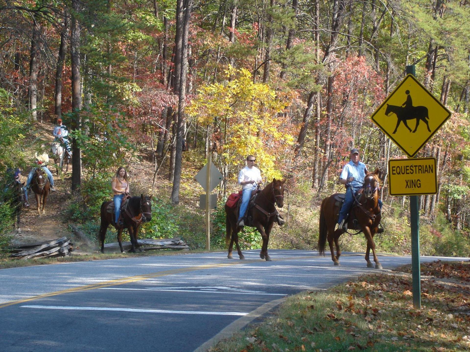 Brasstown Valley Resort & Spa photo 59