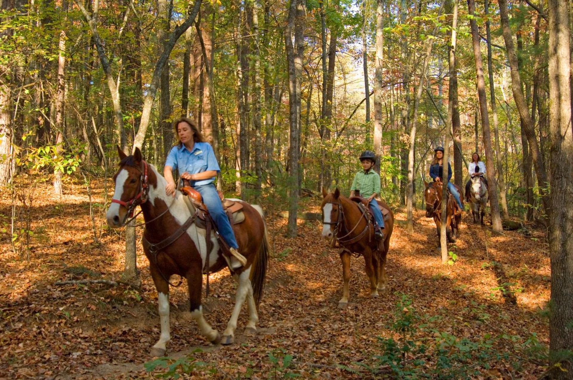 Brasstown Valley Resort & Spa photo 62
