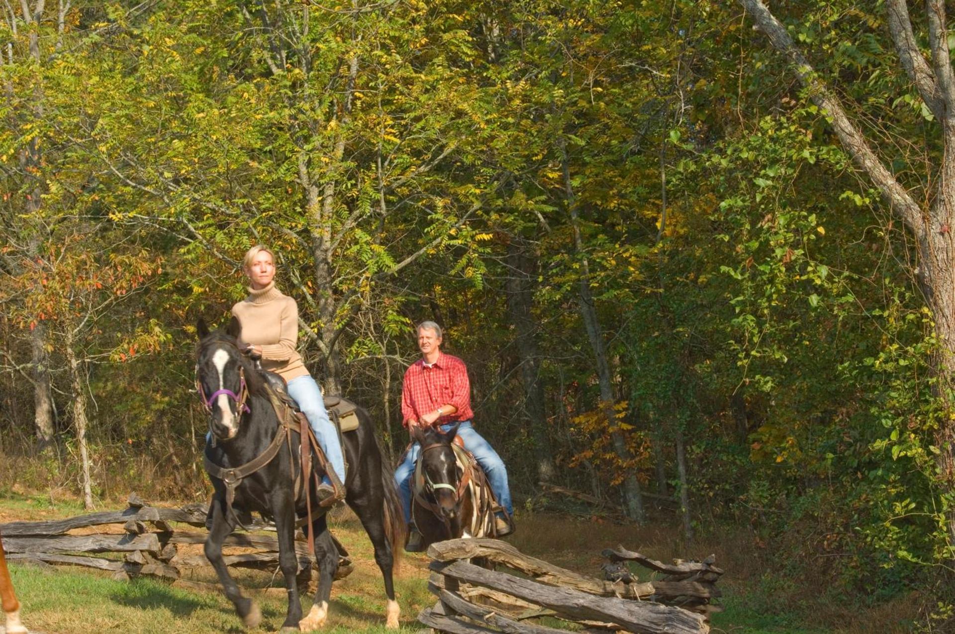 Brasstown Valley Resort & Spa photo 63