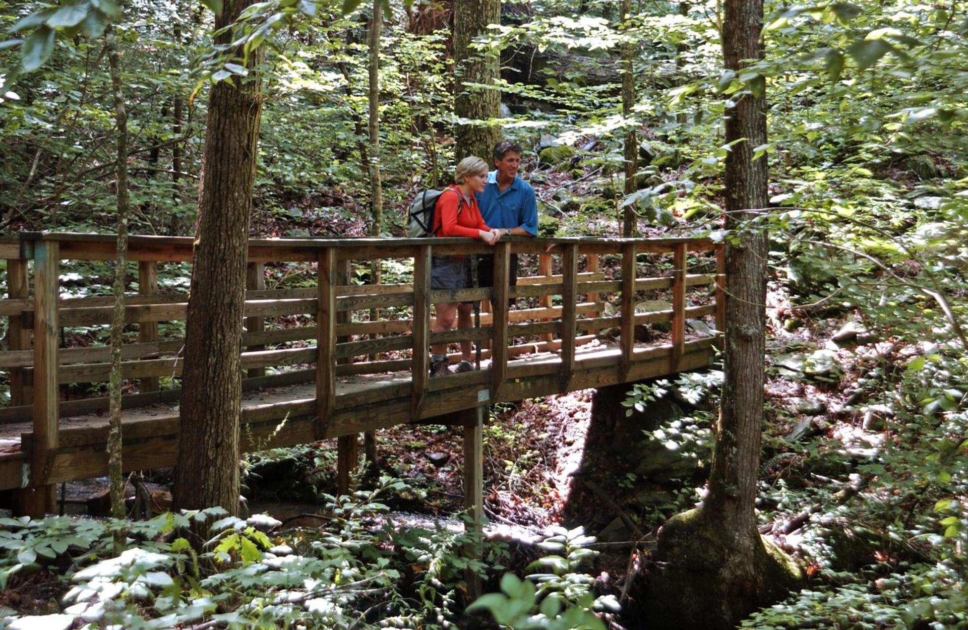 Brasstown Valley Resort & Spa photo 64