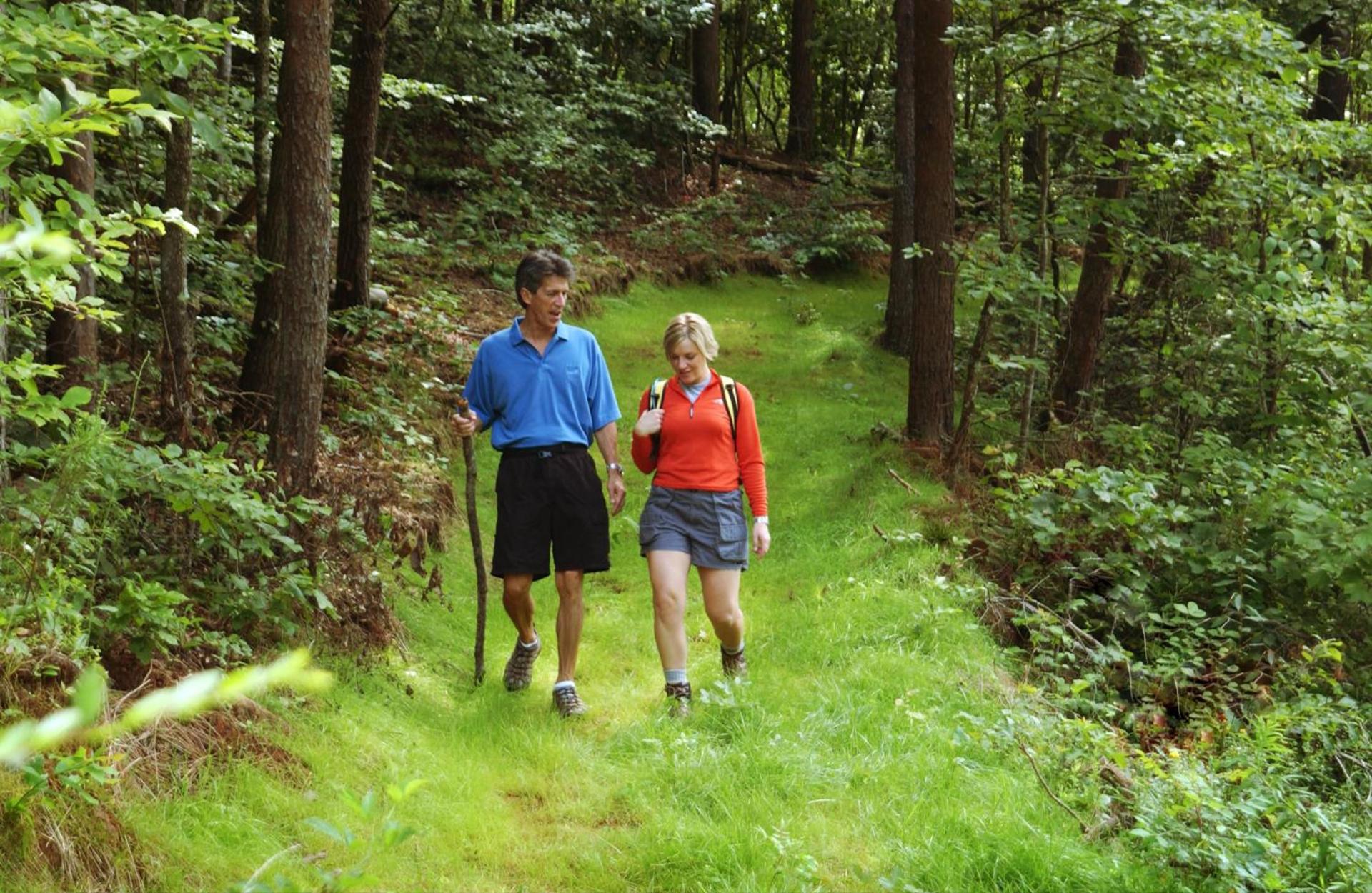 Brasstown Valley Resort & Spa photo 65