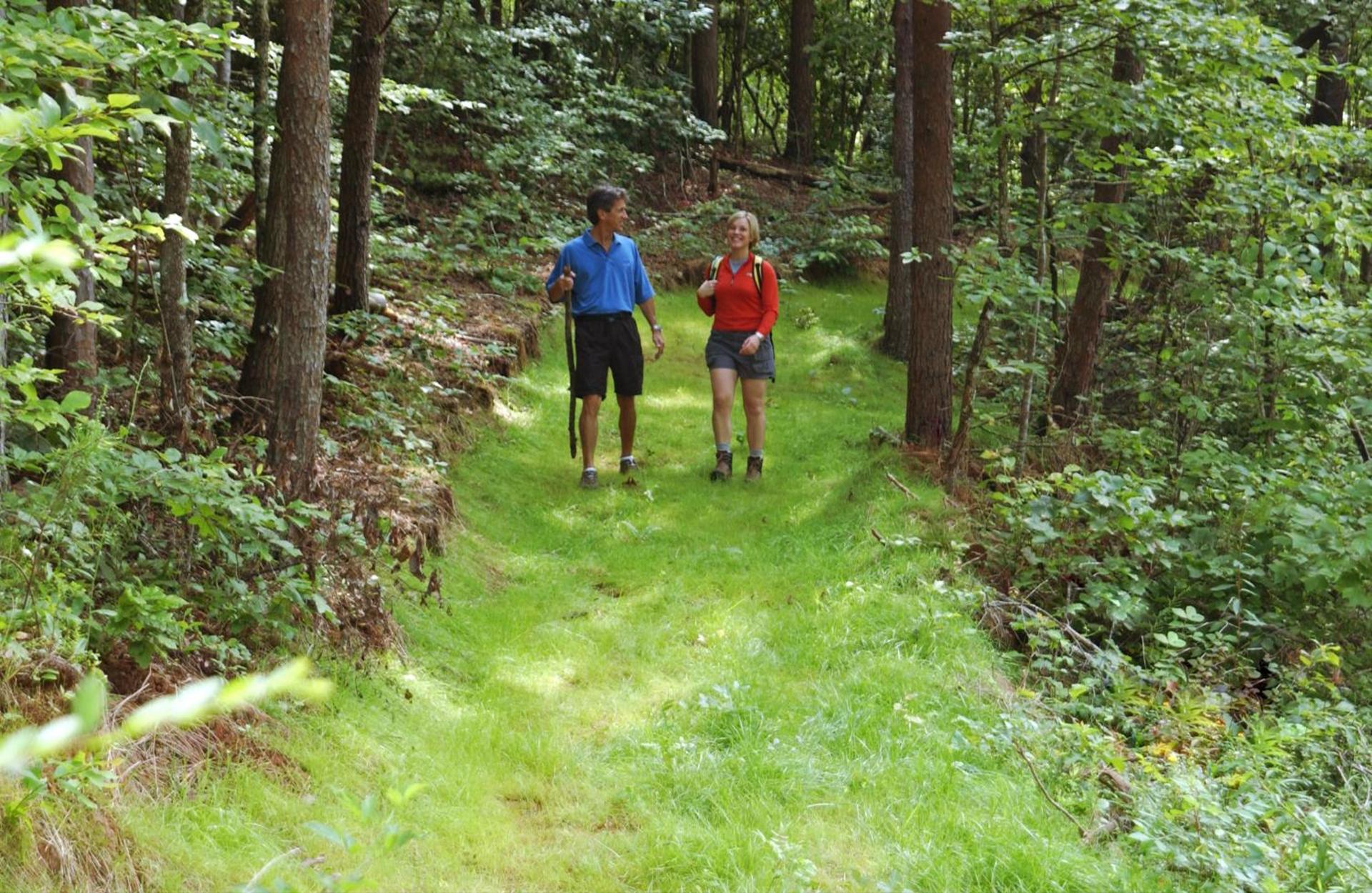 Brasstown Valley Resort & Spa photo 67