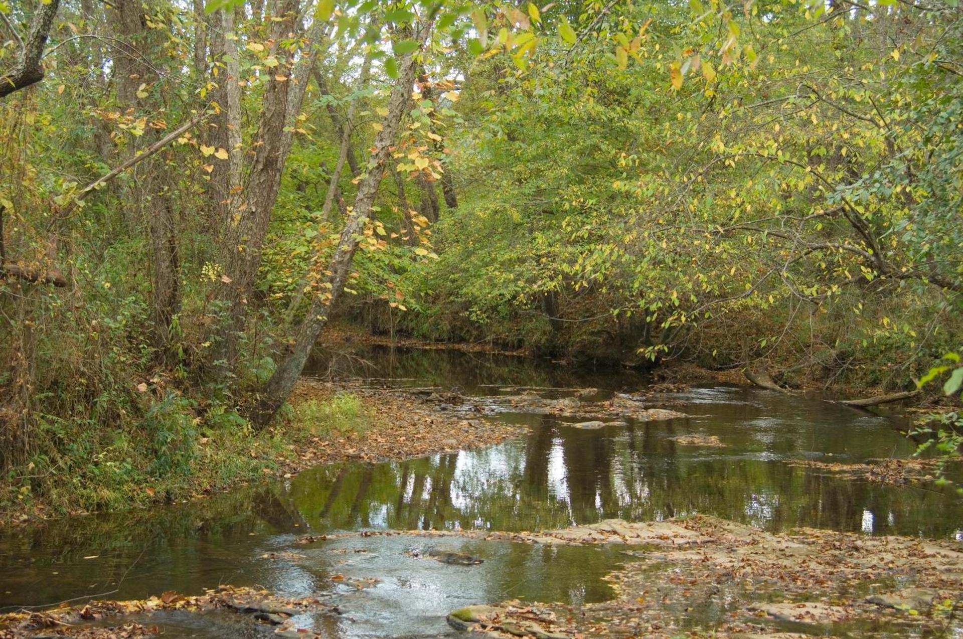 Brasstown Valley Resort & Spa photo 69