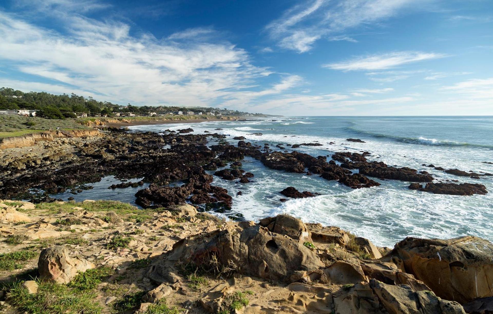 Oceanpoint Ranch photo 4