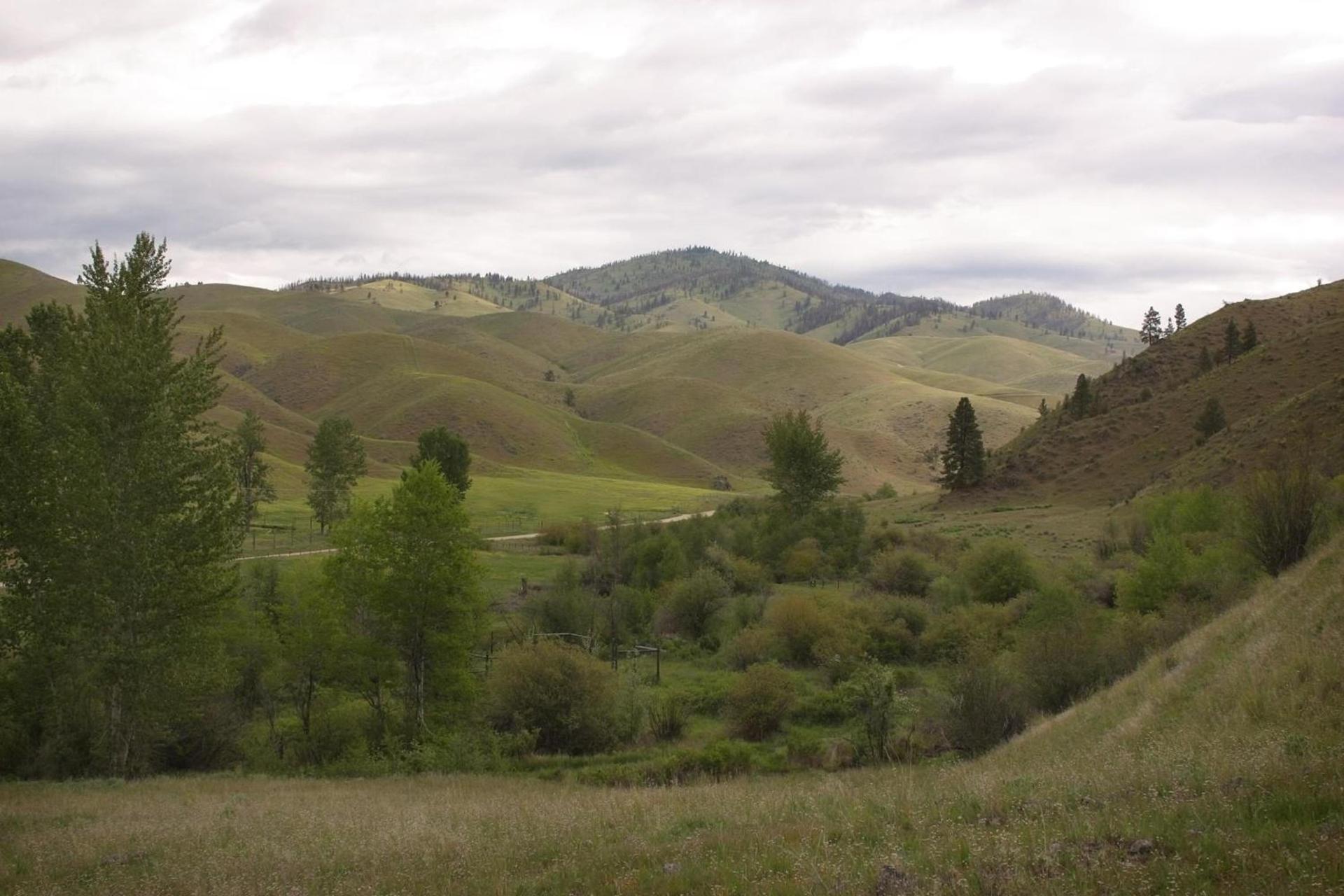 Rye Creek Lodge photo 9