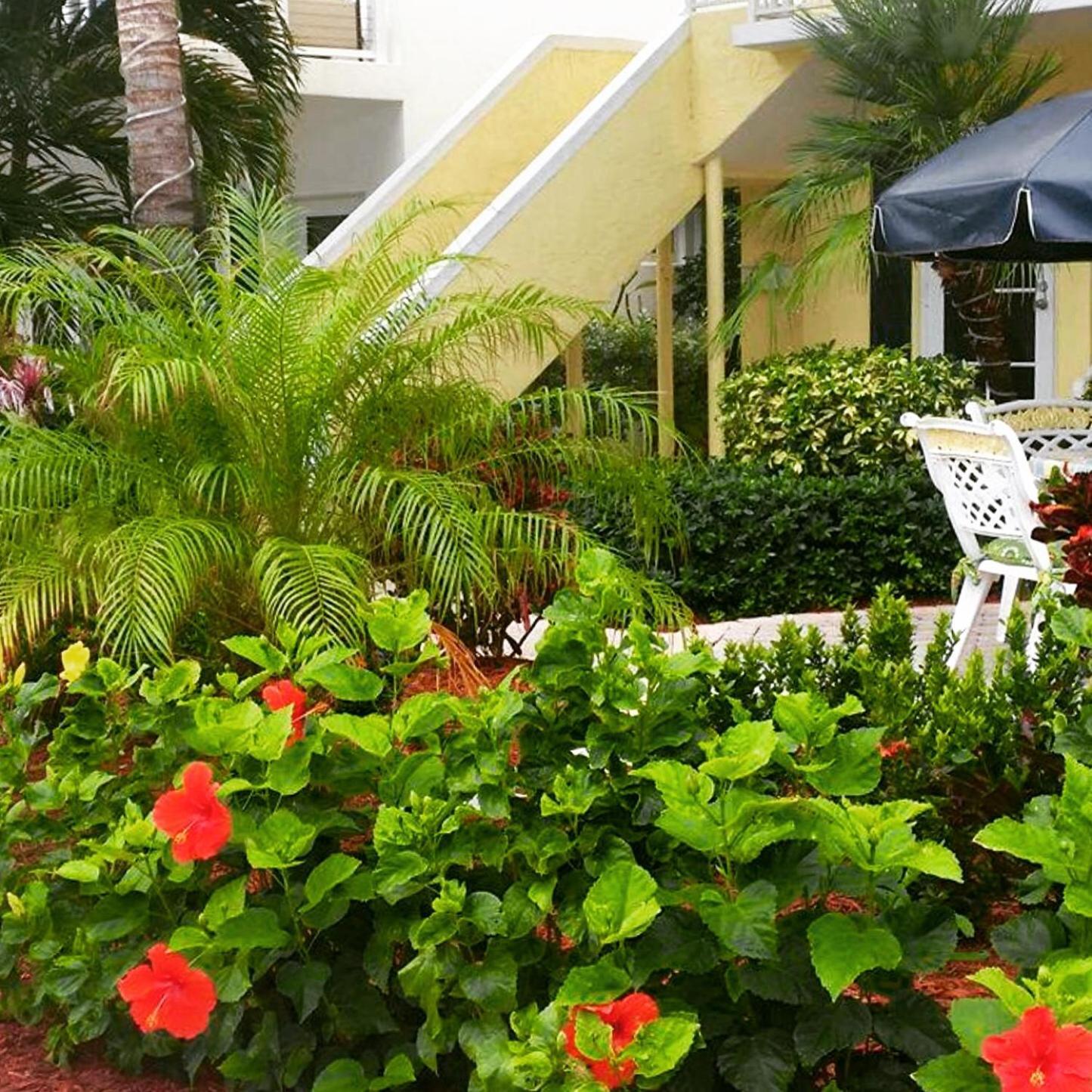 Sea Spray Inn photo 80