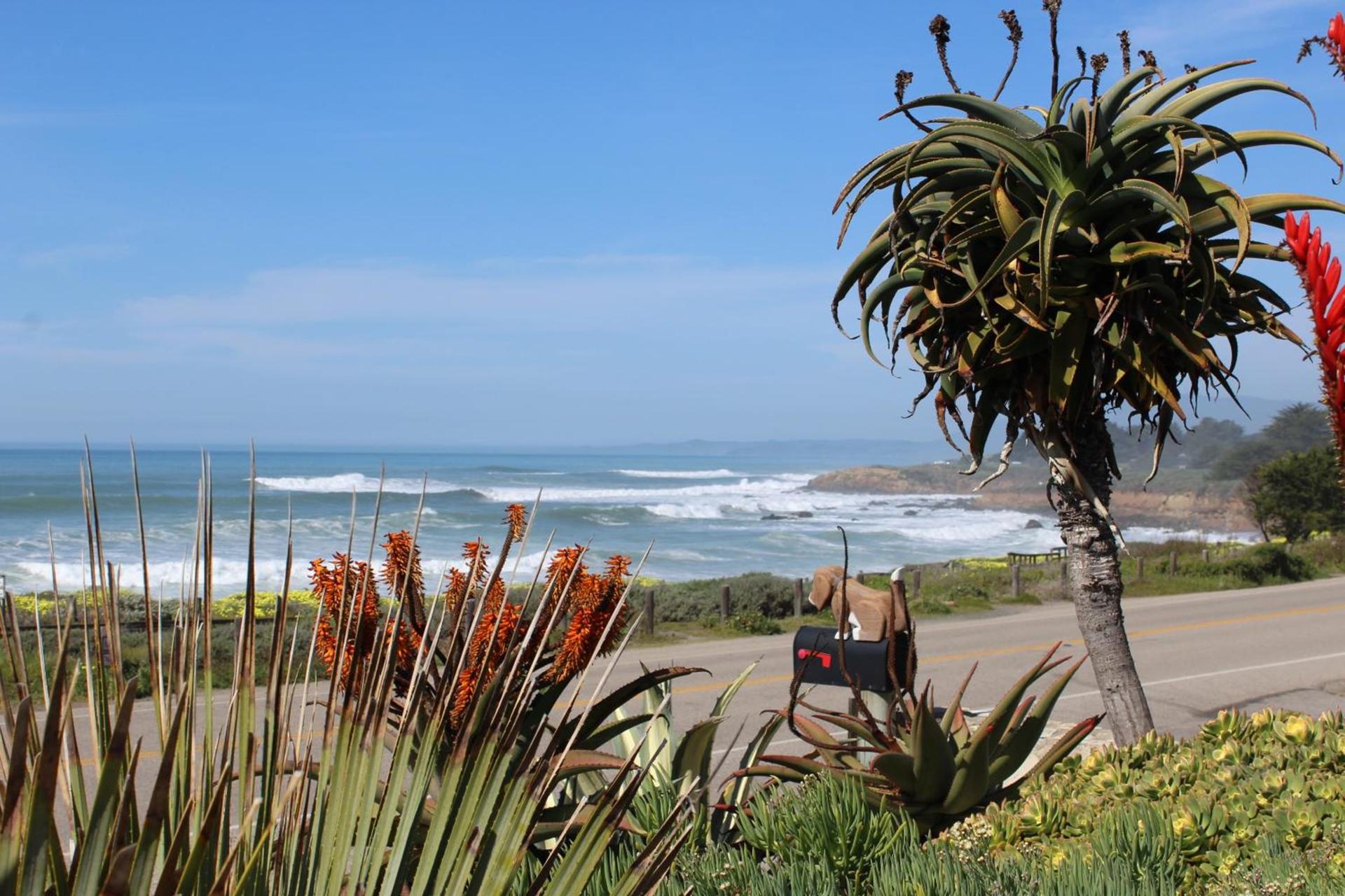 Cambria Shores Inn photo 9
