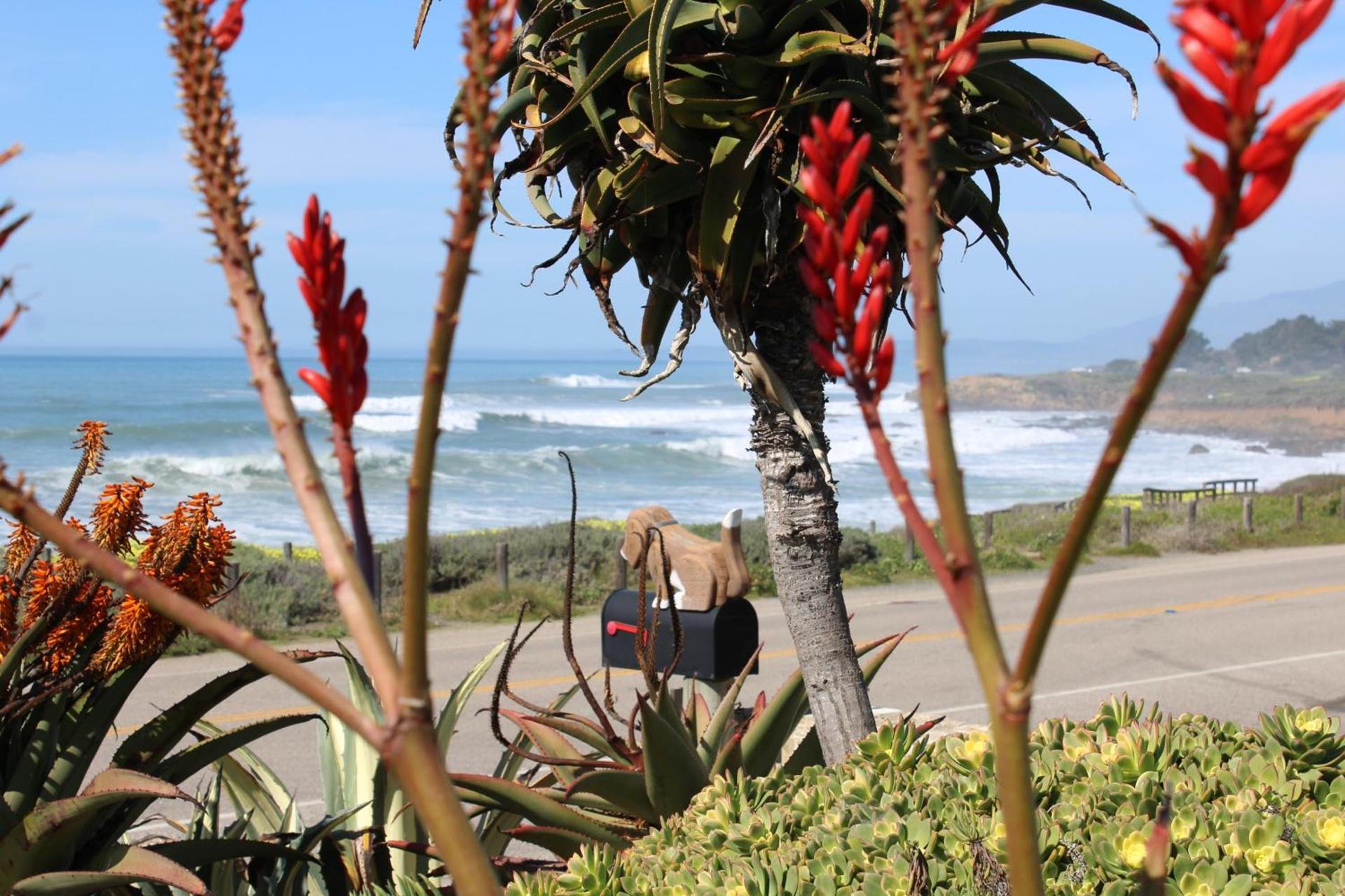 Cambria Shores Inn photo 12