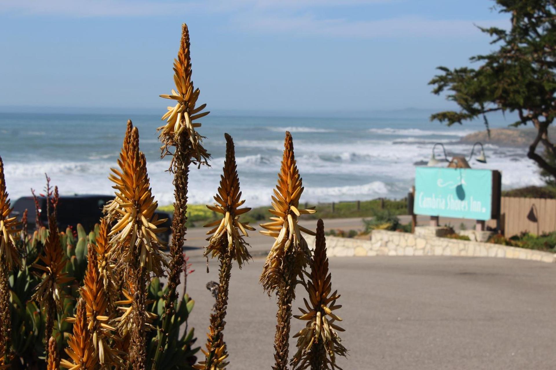 Cambria Shores Inn photo 2