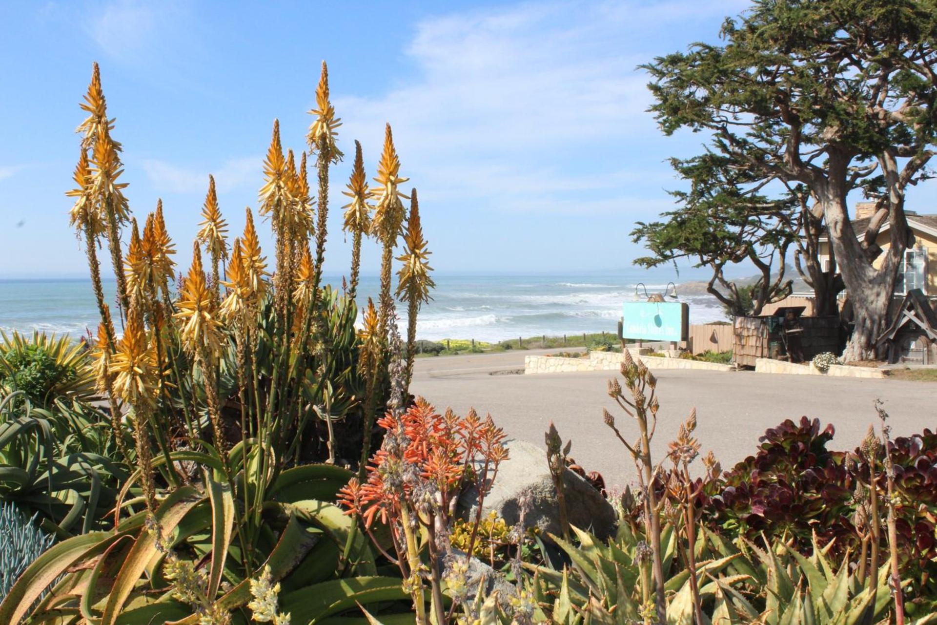 Cambria Shores Inn photo 20