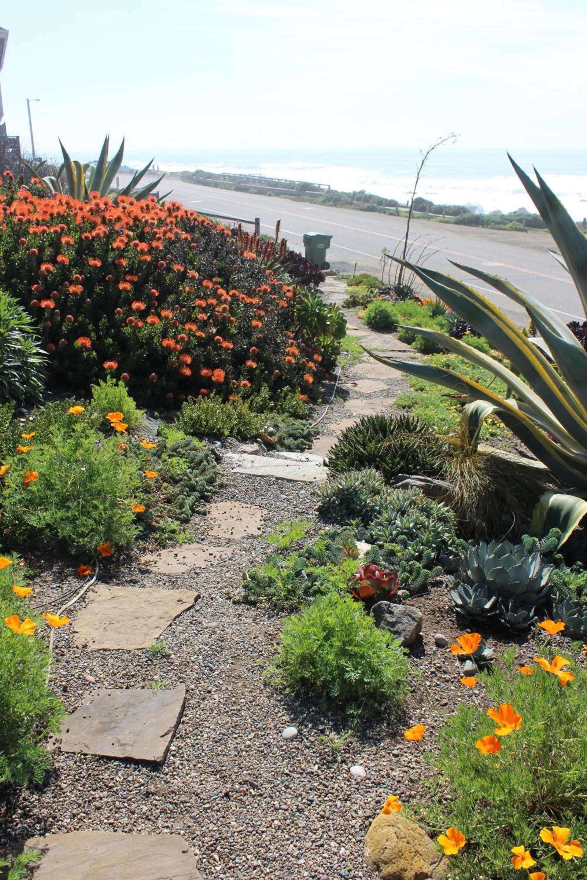Cambria Shores Inn photo 24