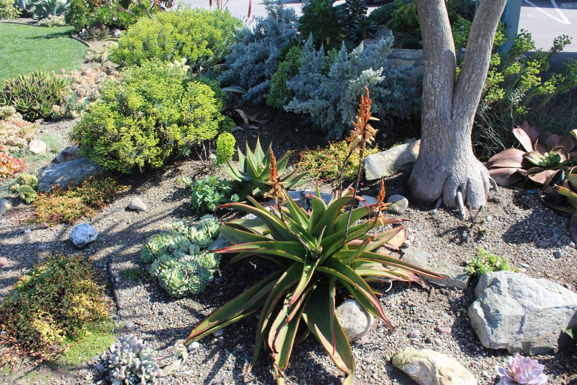 Cambria Shores Inn photo 26