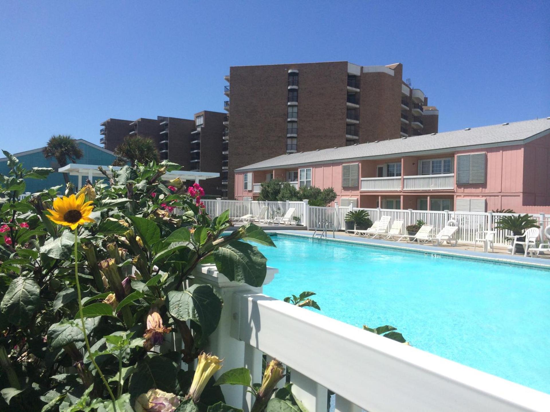 Executive Keys Condominiums on the Beach photo 45