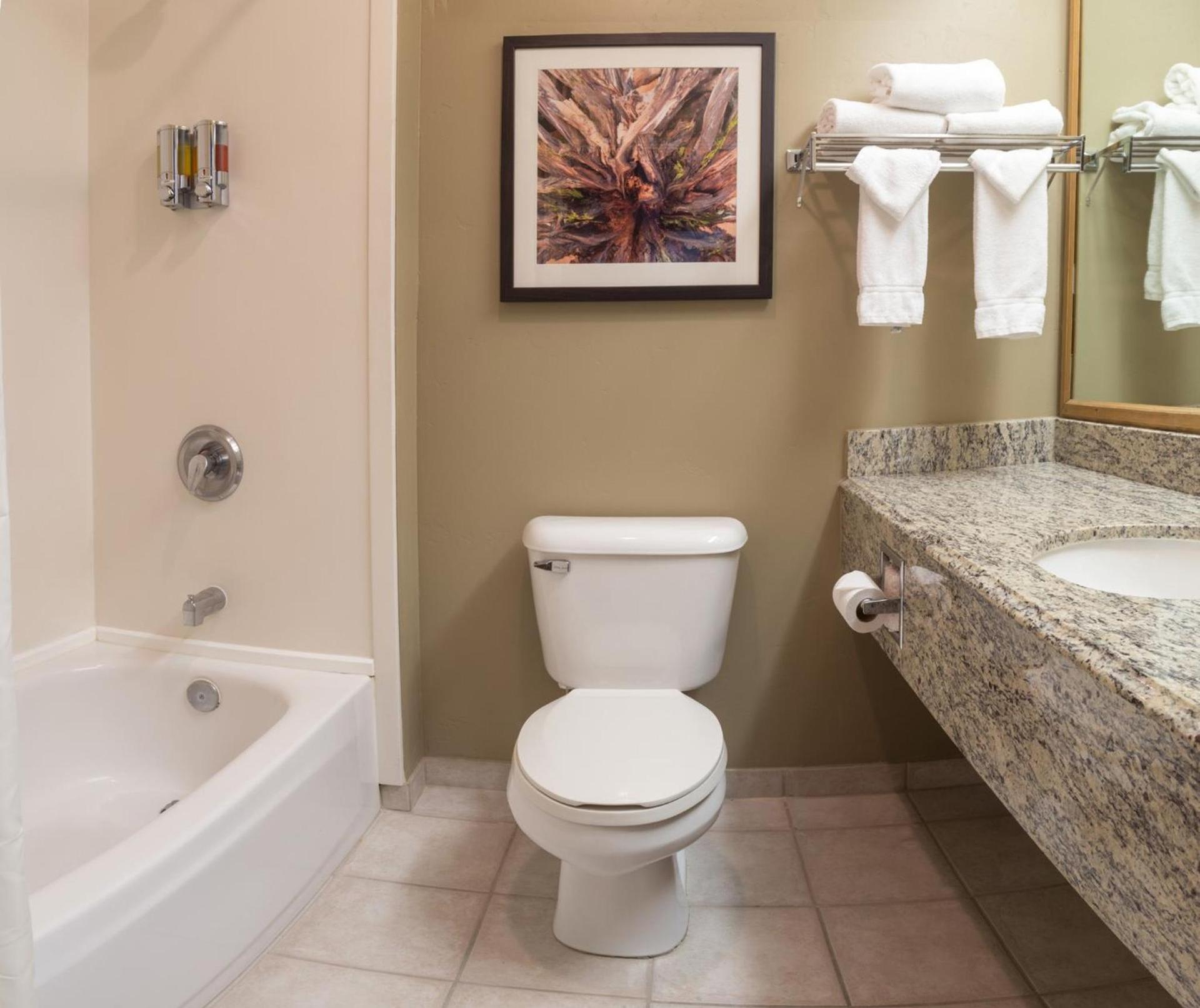 Gray Wolf Inn & Suites photo 26