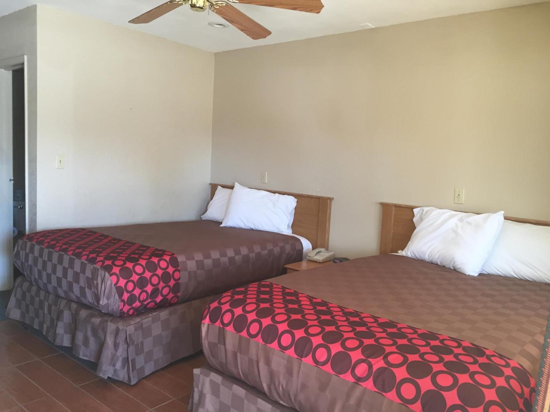 Townhouse Inn and Suites photo 81