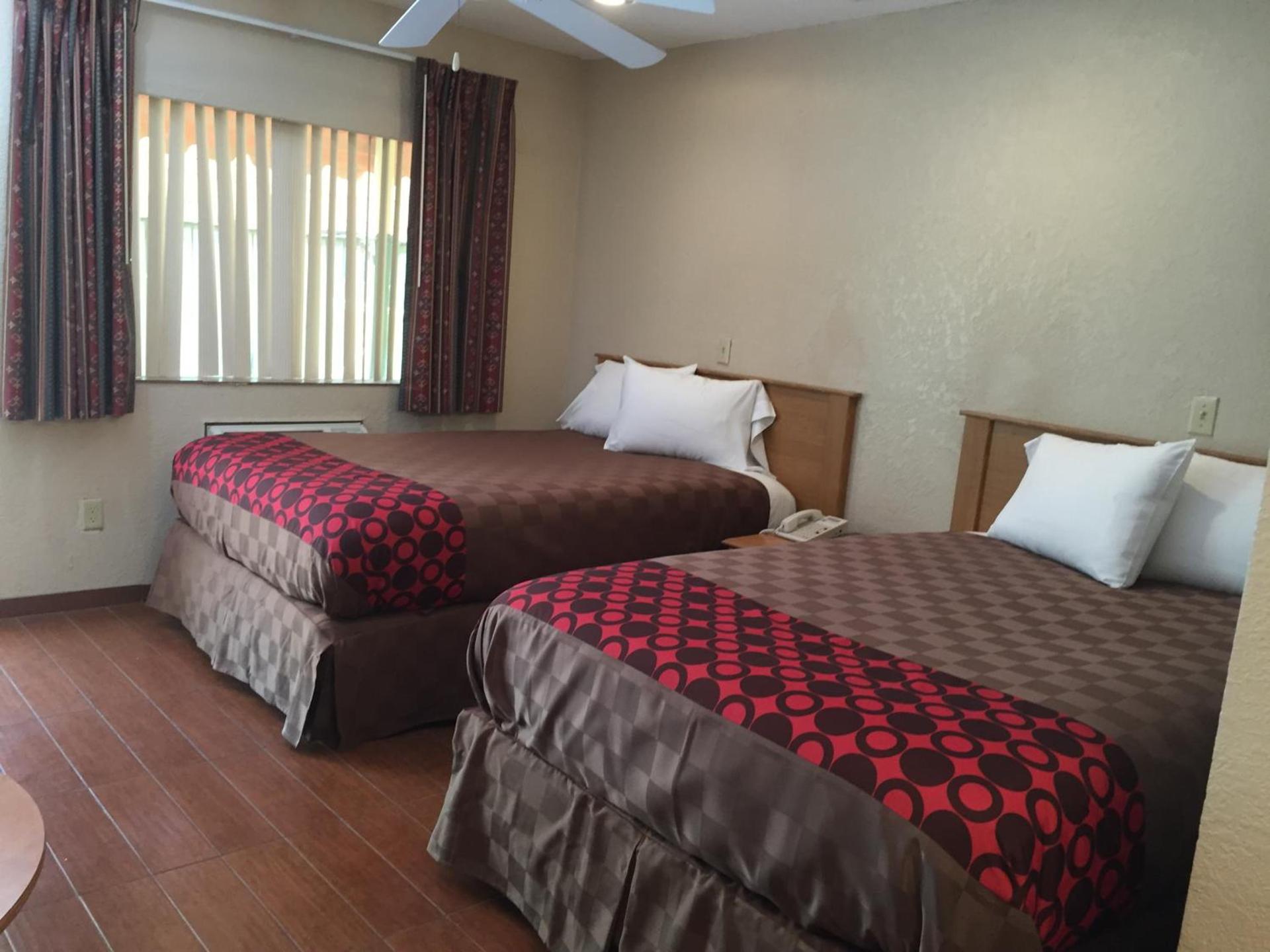 Townhouse Inn and Suites photo 88