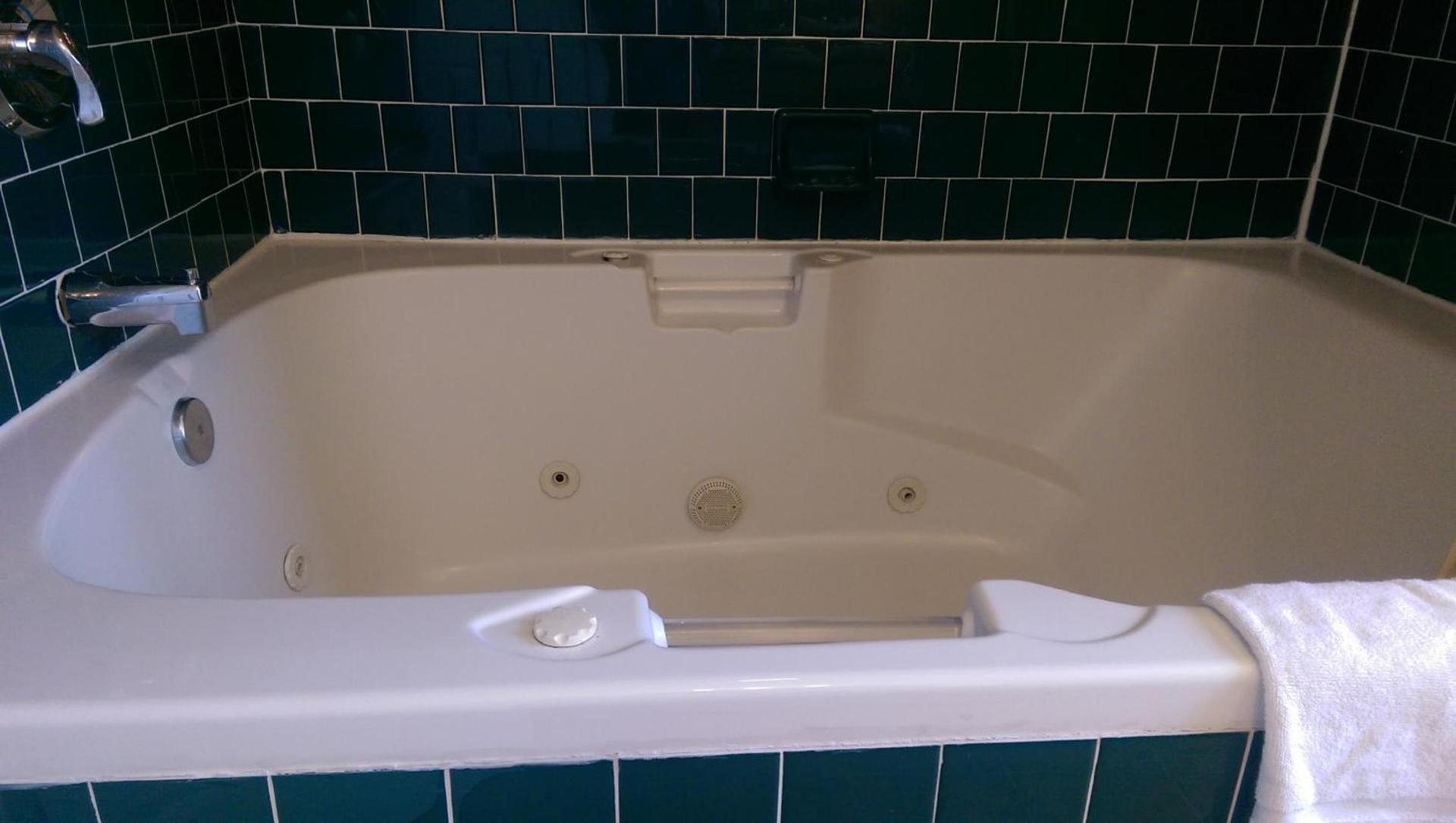 Holland Inn & Suites photo 11