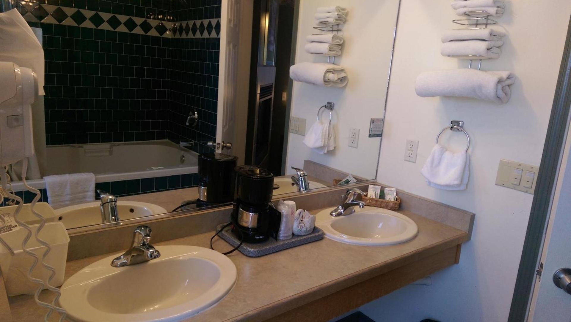 Holland Inn & Suites photo 13