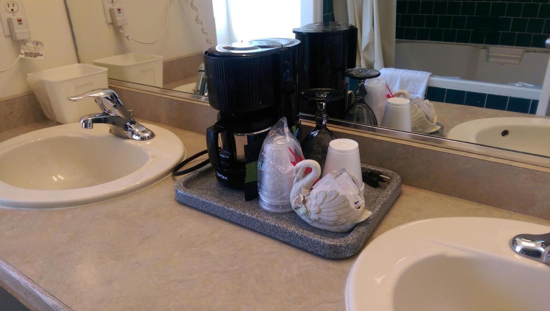 Holland Inn & Suites photo 14