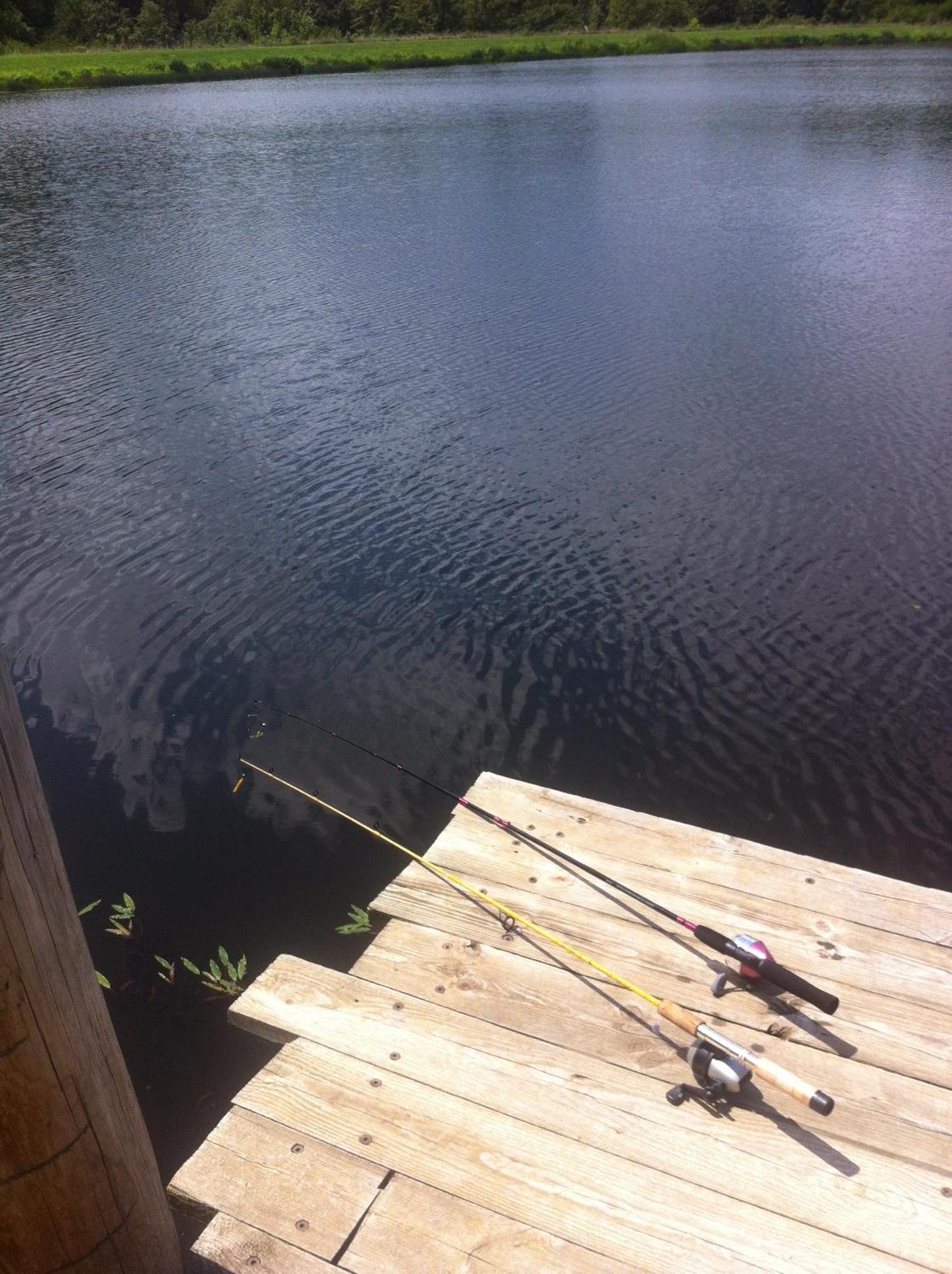 Cedar Creek photo 39