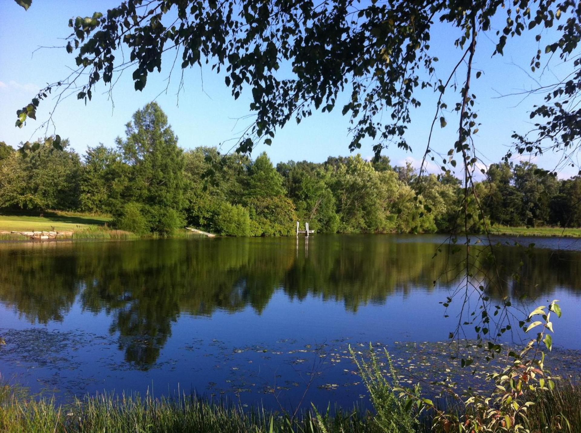 Cedar Creek photo 40