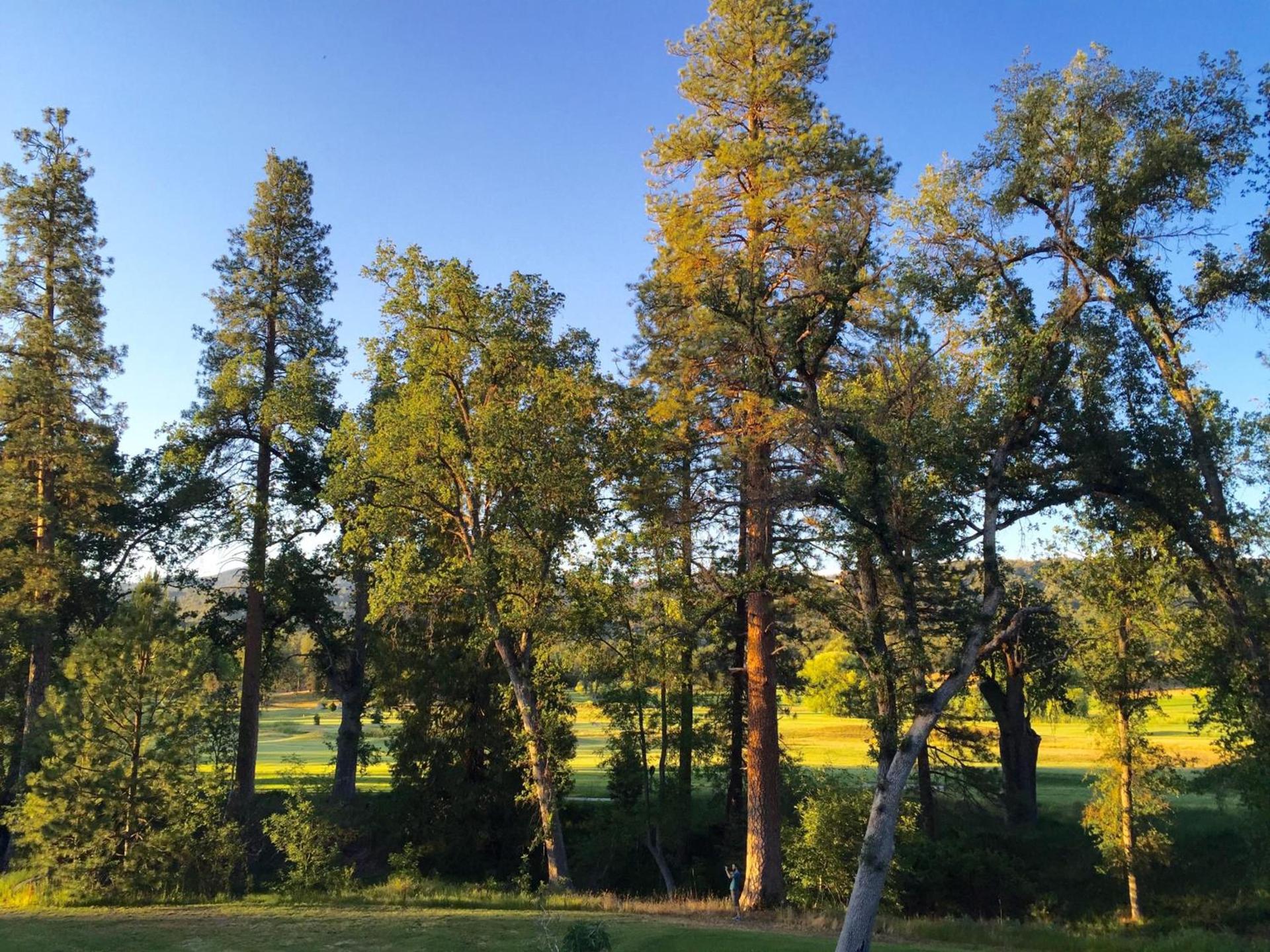 Sierra Meadows photo 34